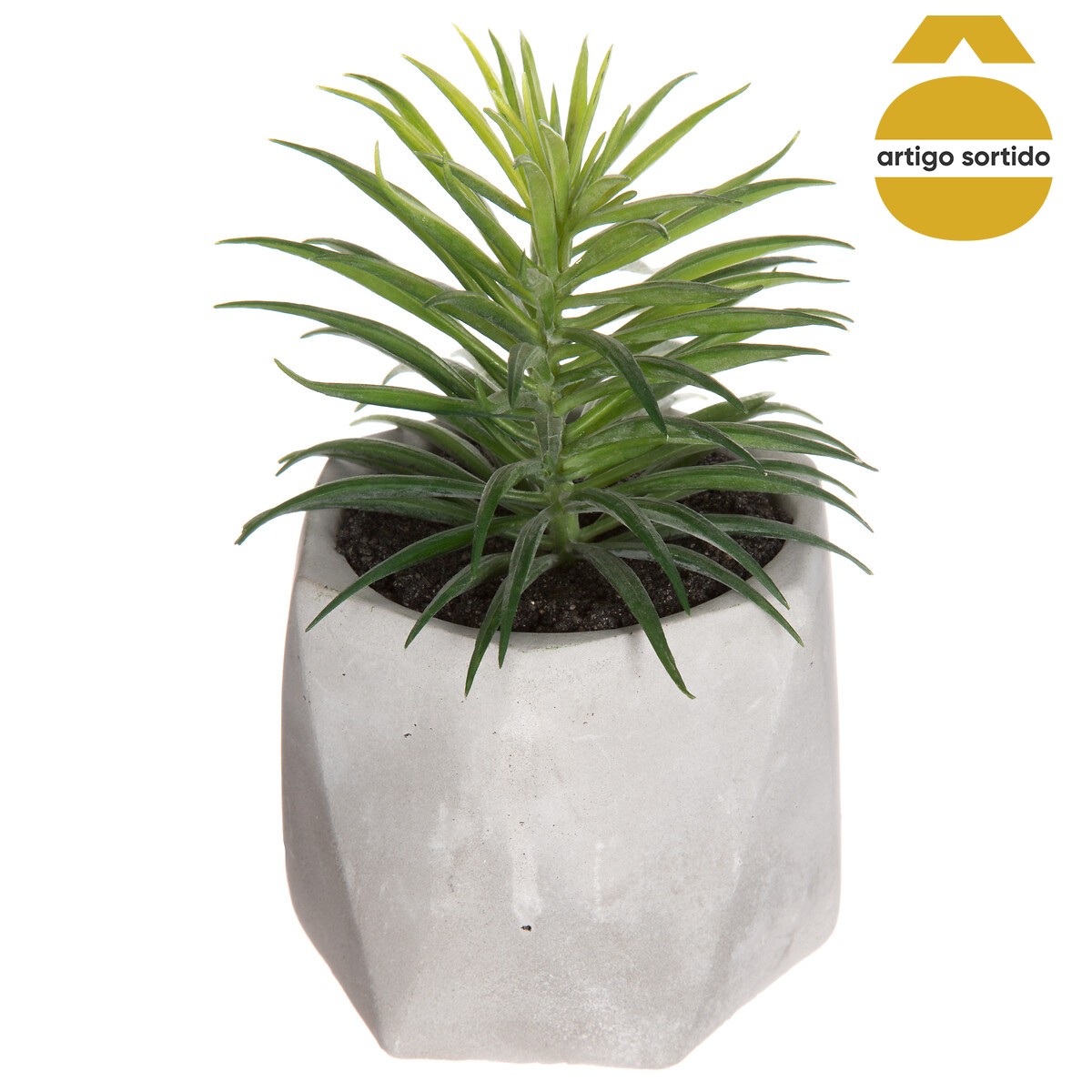 Vaso de cimento com planta 17cm