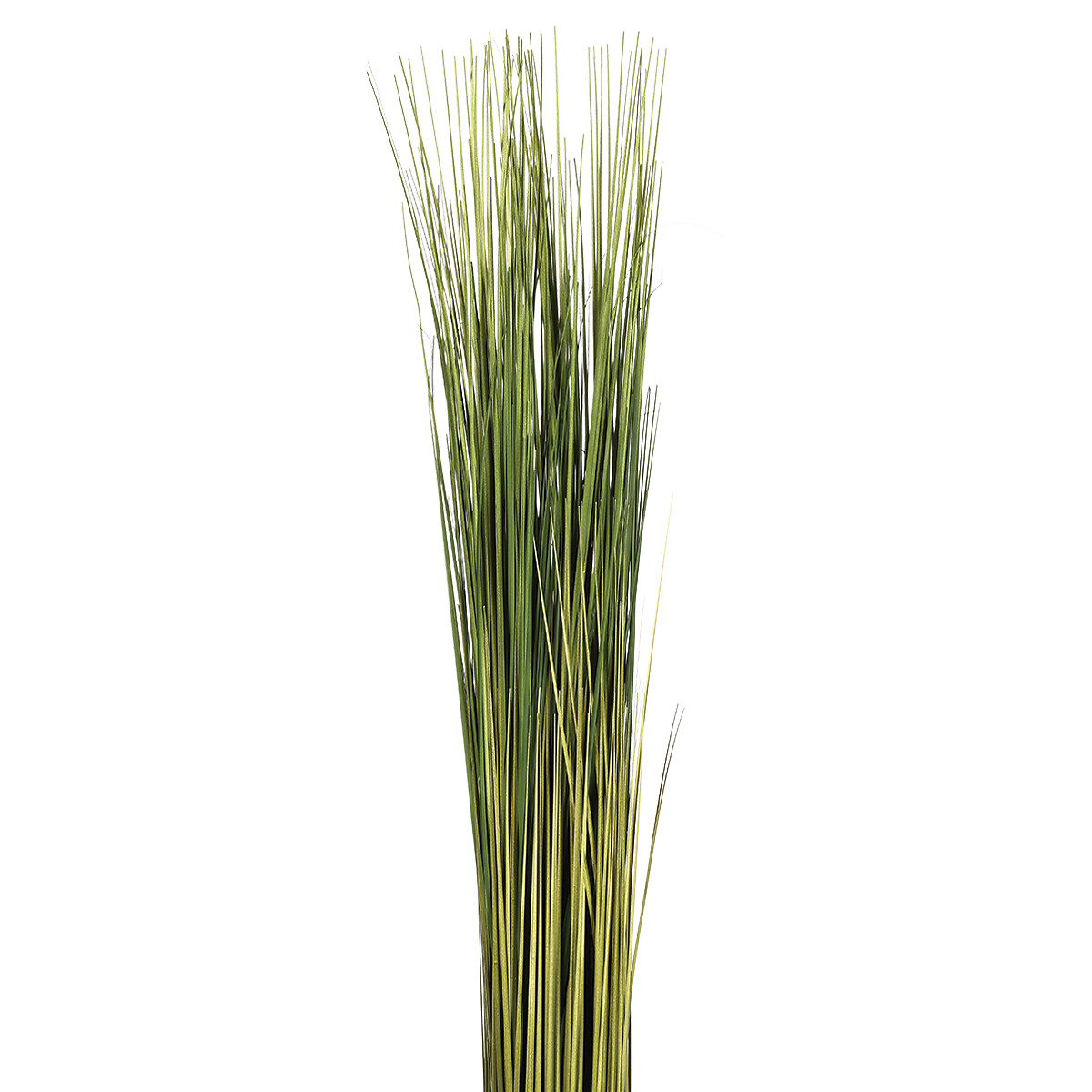 Ramo seco verde 79cm