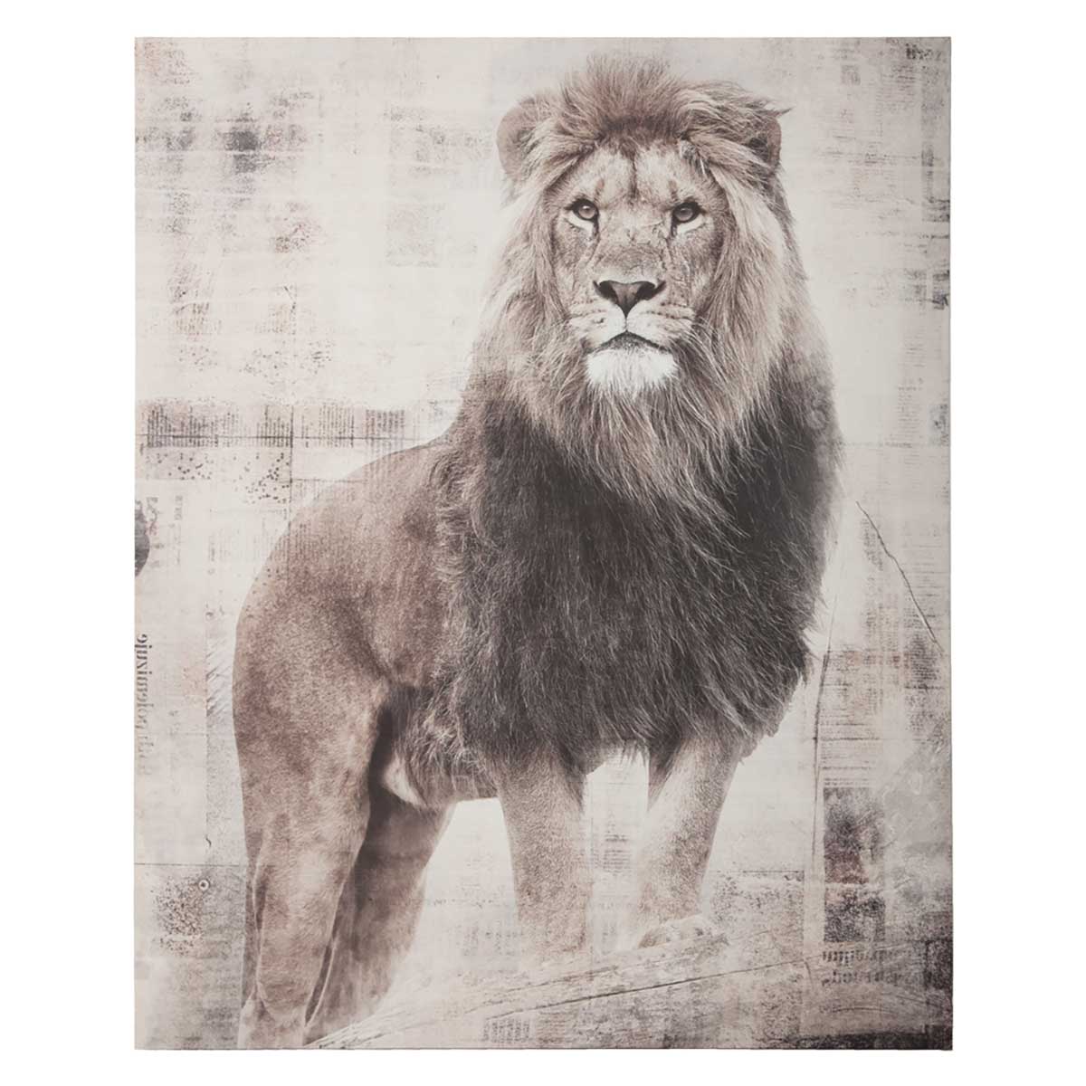 Quadro decorativo le&atilde;o