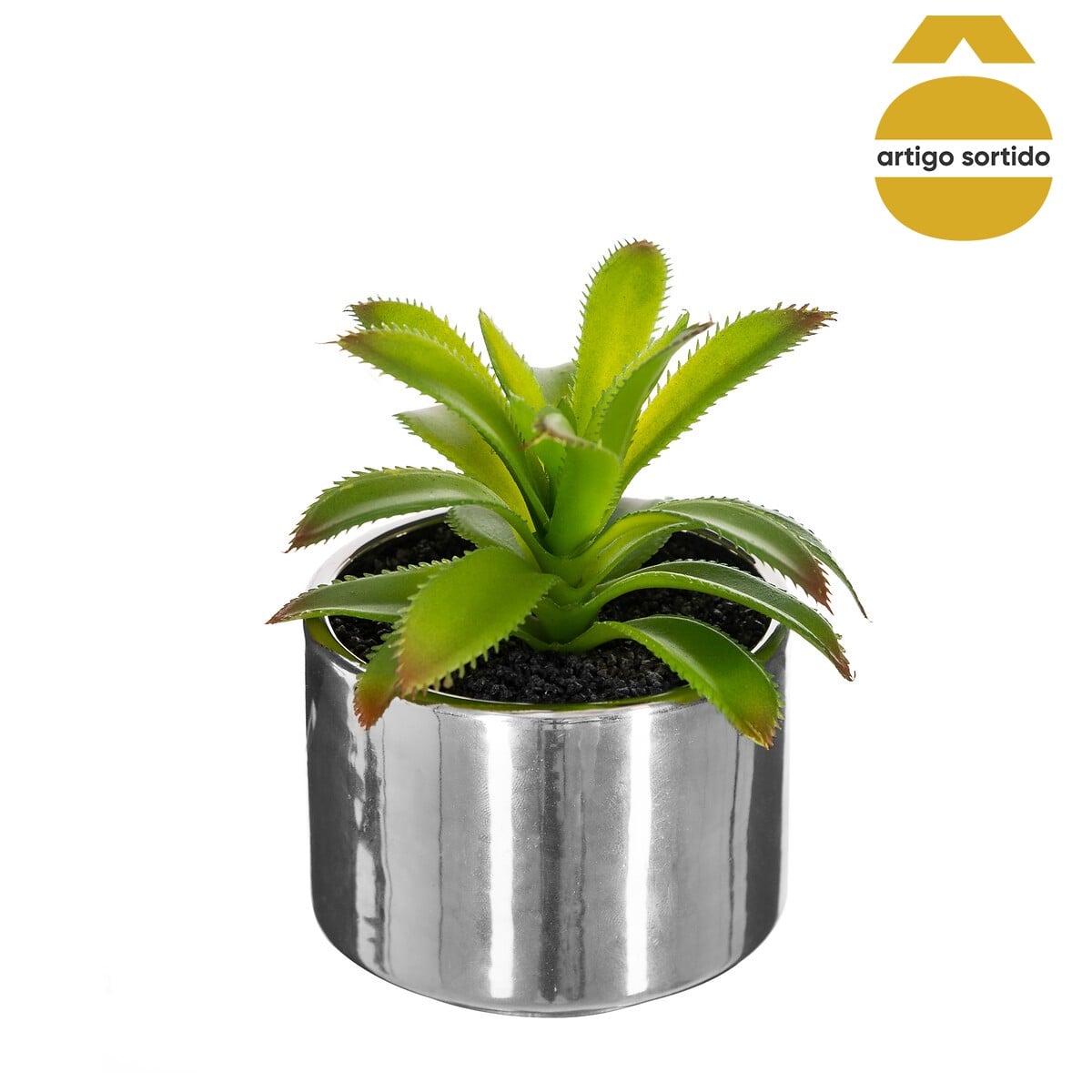 Vaso de cer&acirc;mica com planta 13,5cm