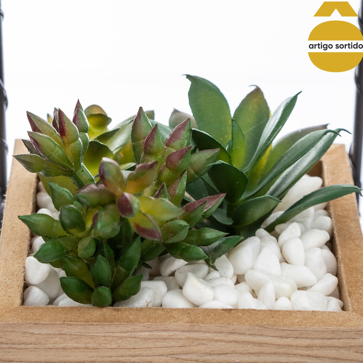 Vaso com casa led com planta,  Vaso com casa led com planta