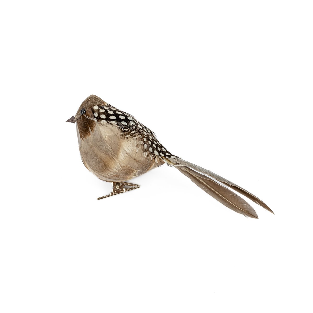 P&aacute;ssaro com mola