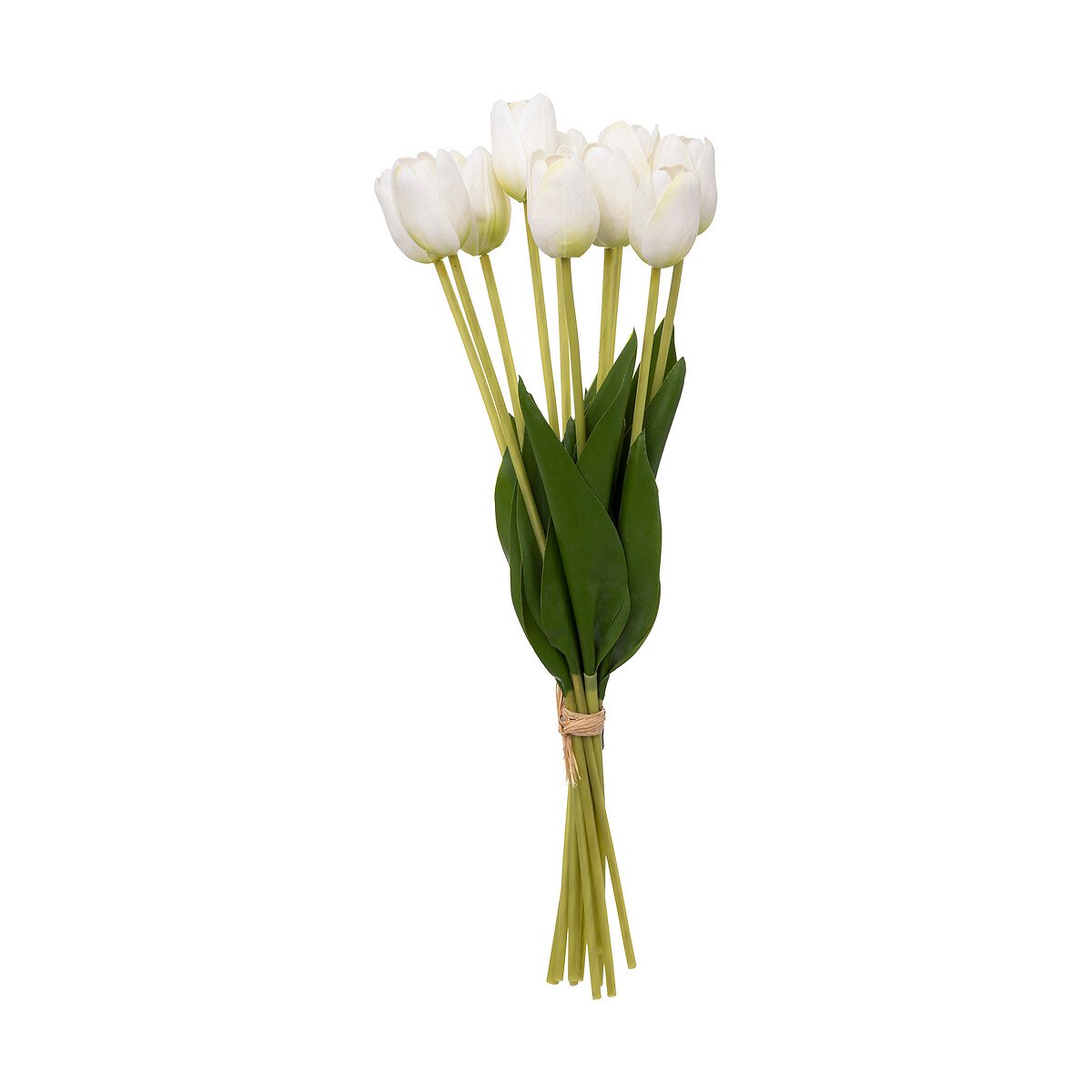 Bouquet com 10 tulipas brancas 48cm