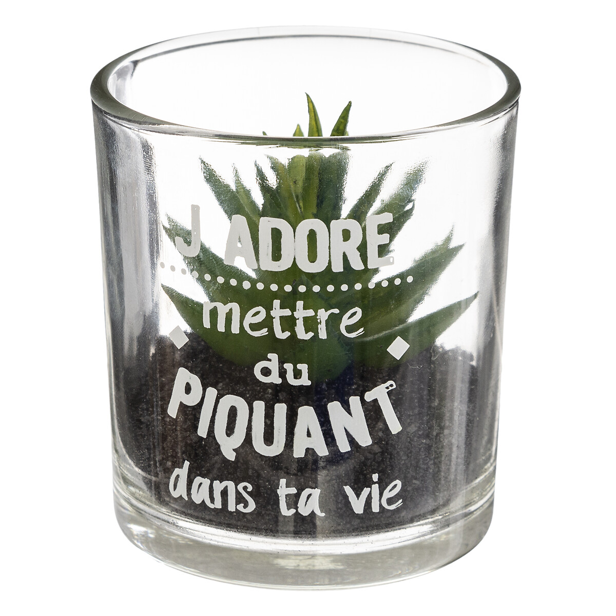 Vaso de vidro com planta 9,5x7cm