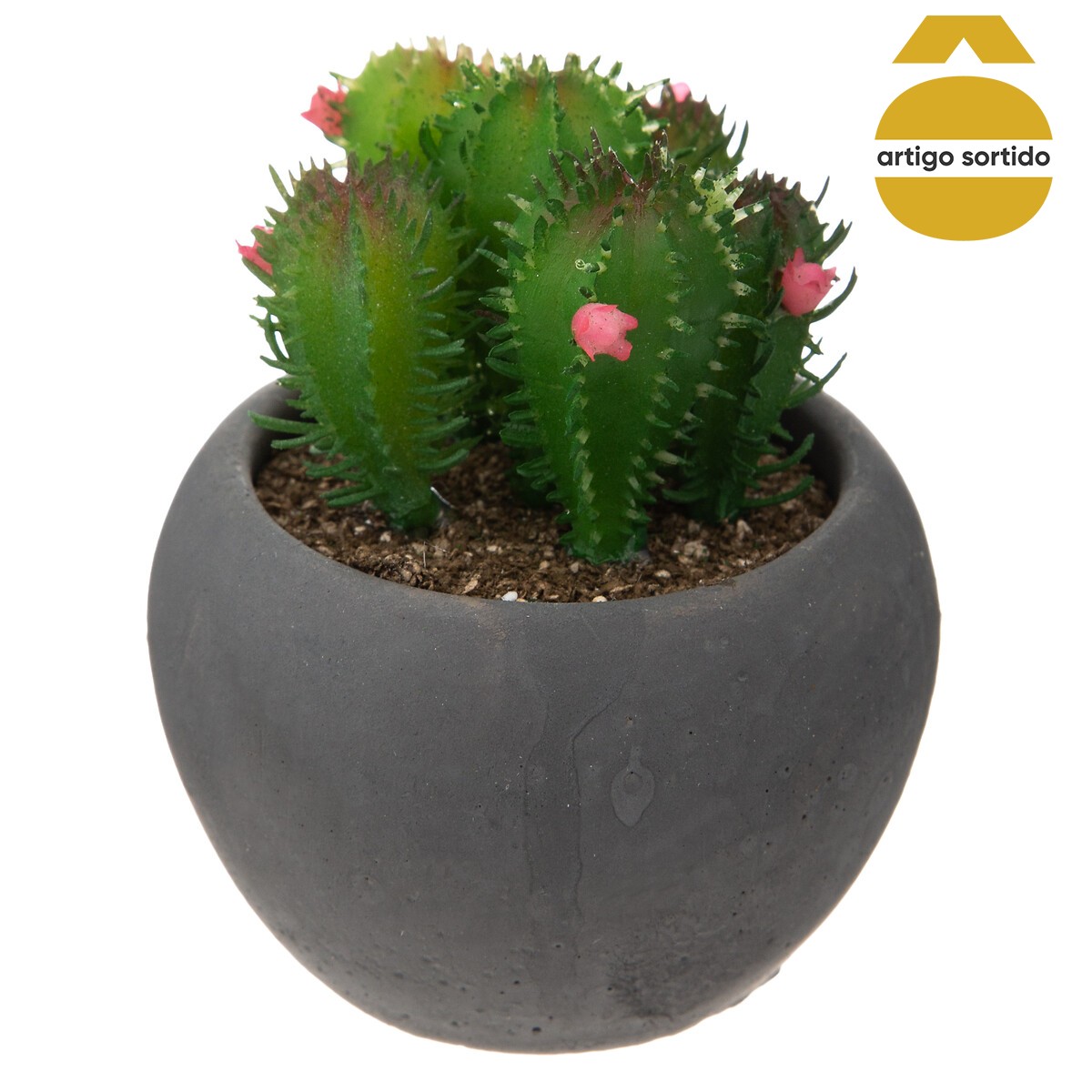 Vaso de cimento preto com cato 8cm