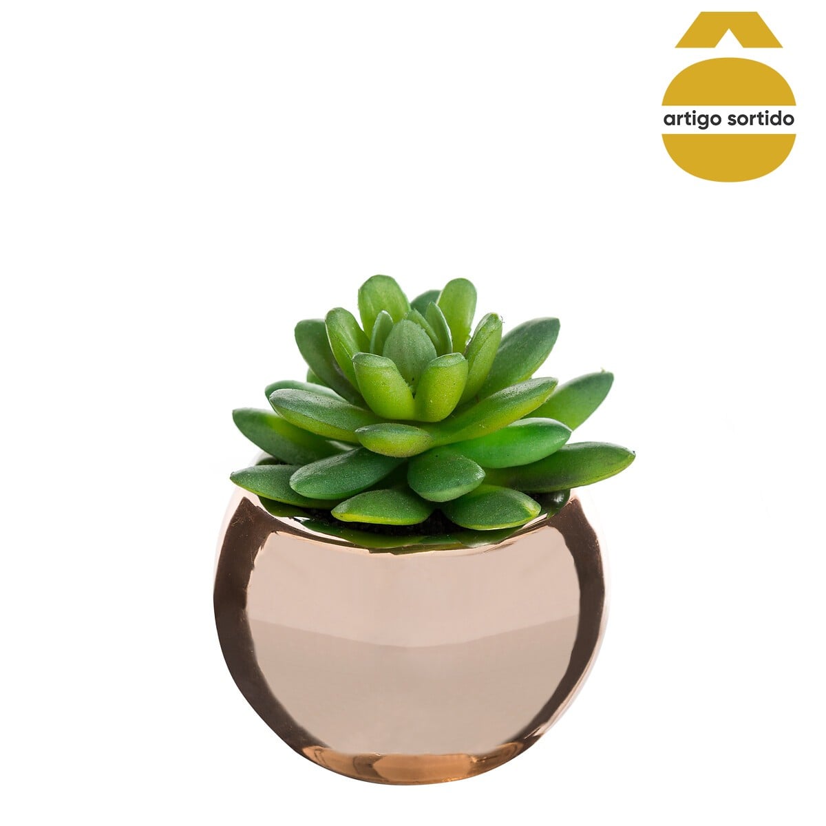 Vaso de cer&acirc;mica com planta 13,5cm
