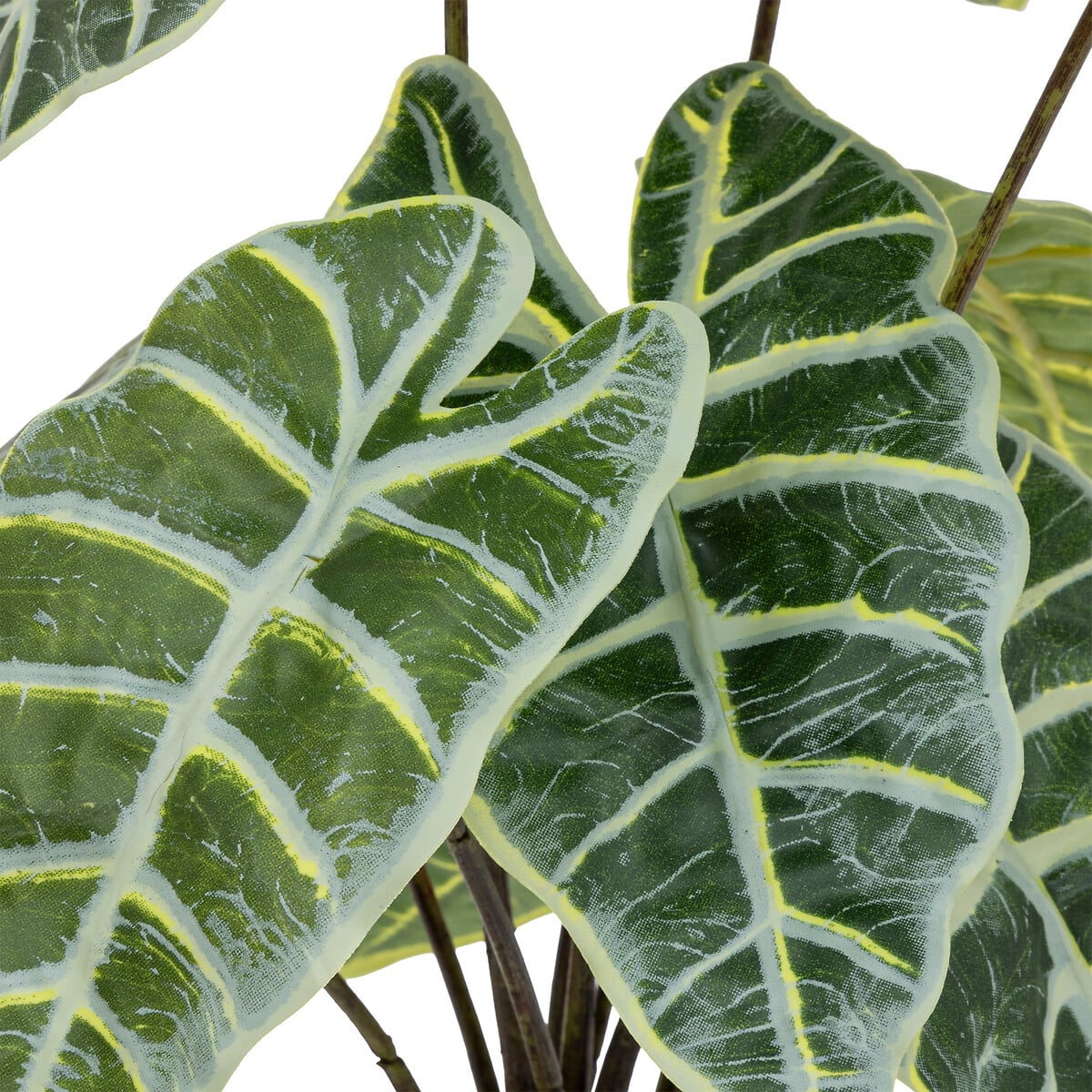Planta alocasia verde 43cm