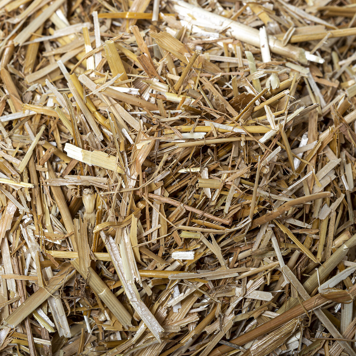 Saco De Palha Para Pres&eacute;pio 50g