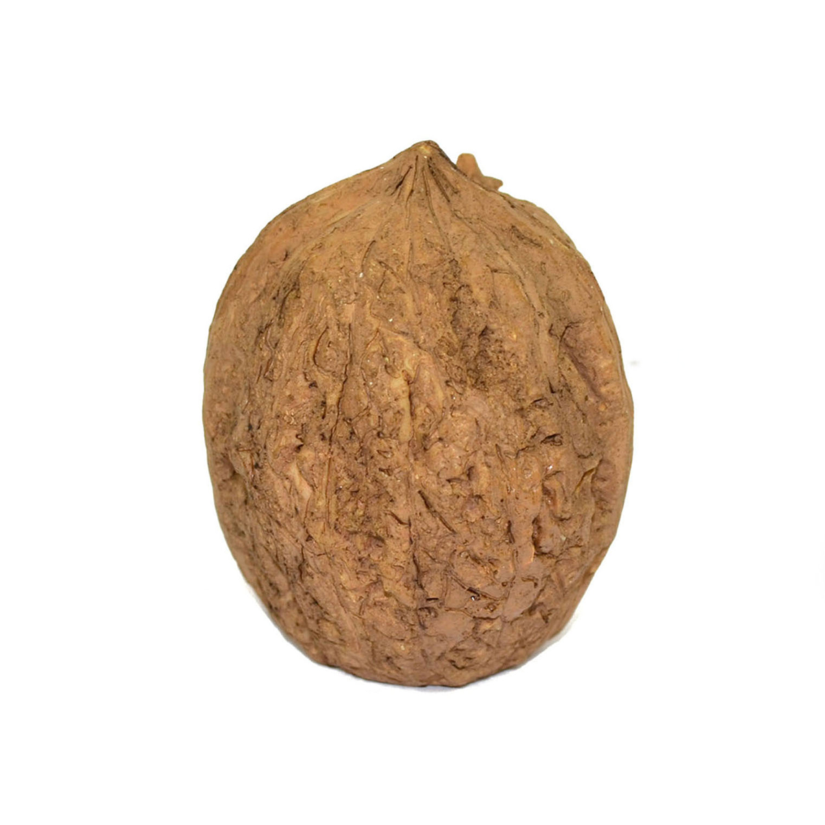 Presépio feito numa casca de noz 7cm