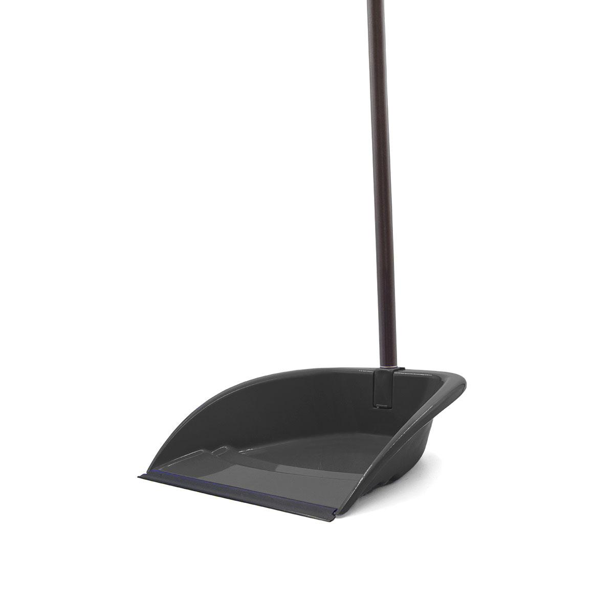 Apanhador lixo com cabo cinza