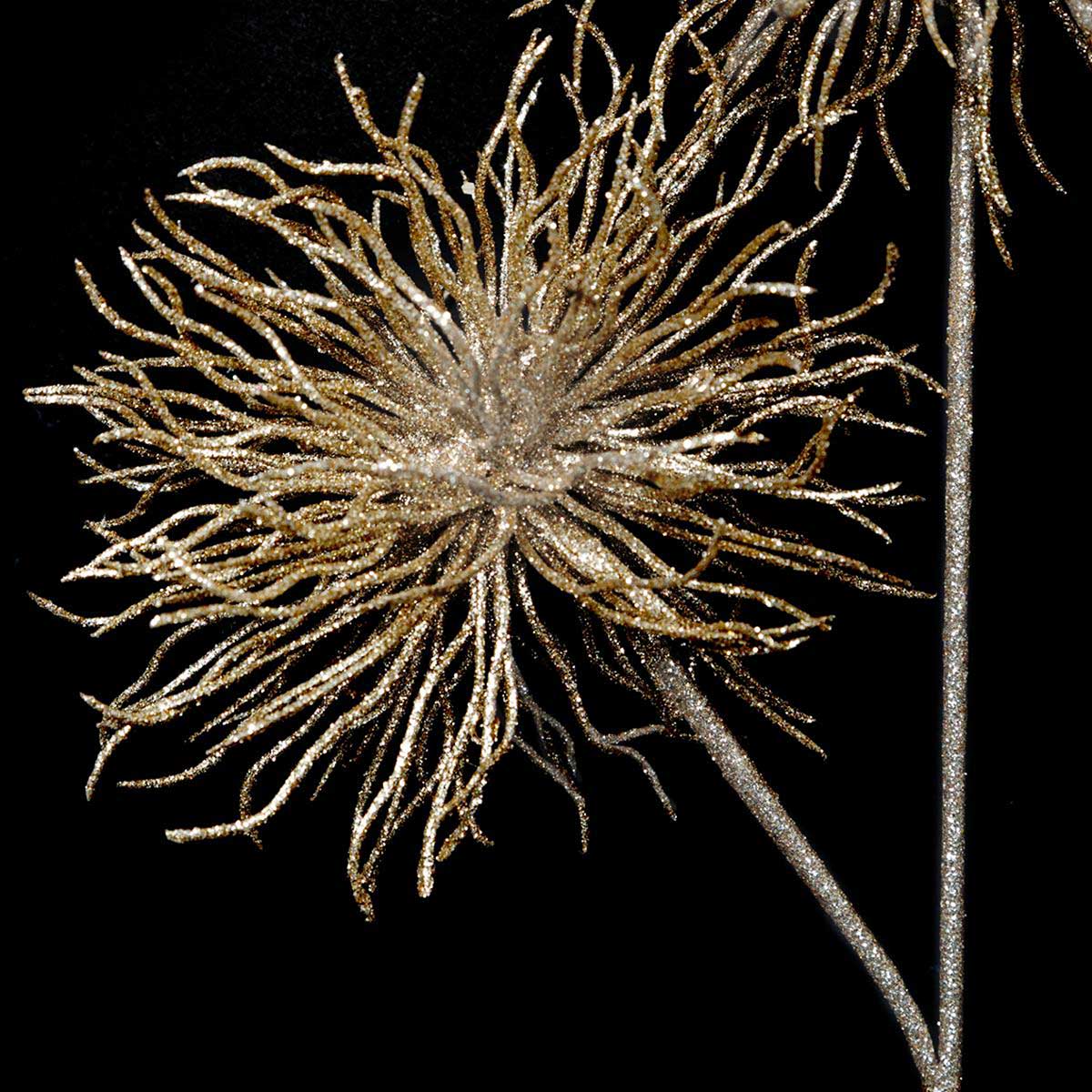 Haste dourada com 2 pompons 60cm