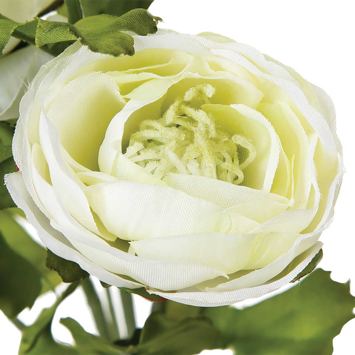 Haste de flor de rainunculo com 3 flores