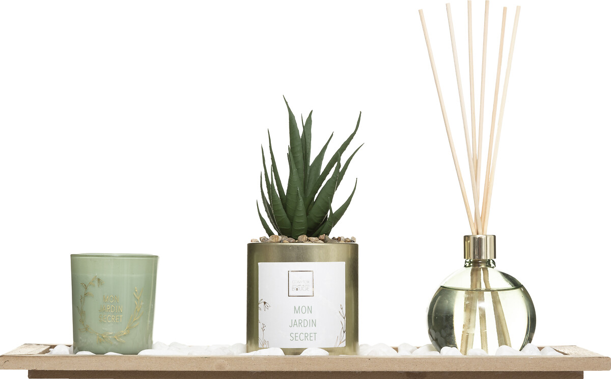 Conjunto aromático jardin verde