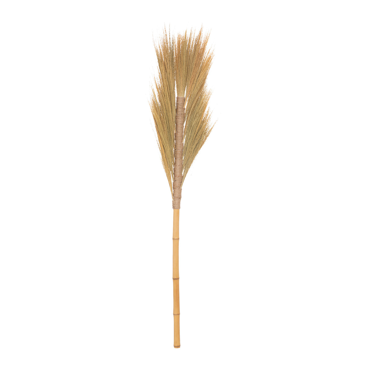 Haste de flor seca bege SEA VIEW 117cm