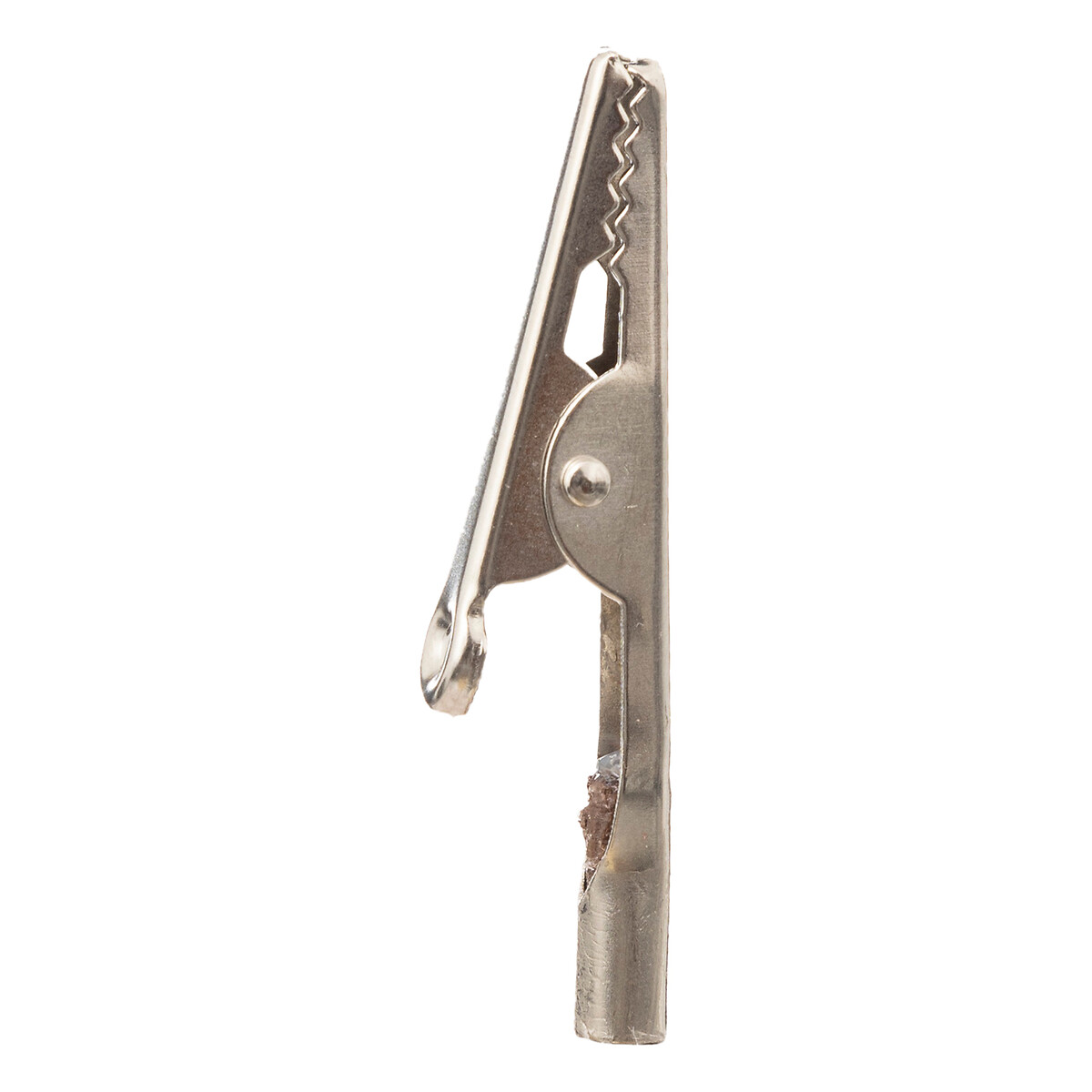 Haste bagas e maçã verde menta com mola,  Haste bagas e maçã verde menta com mola