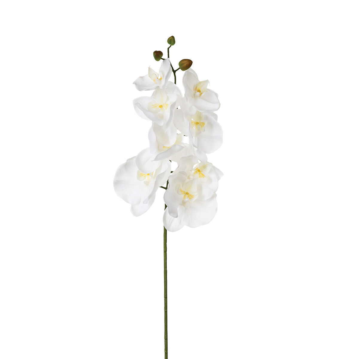 Haste orquídea 108cm