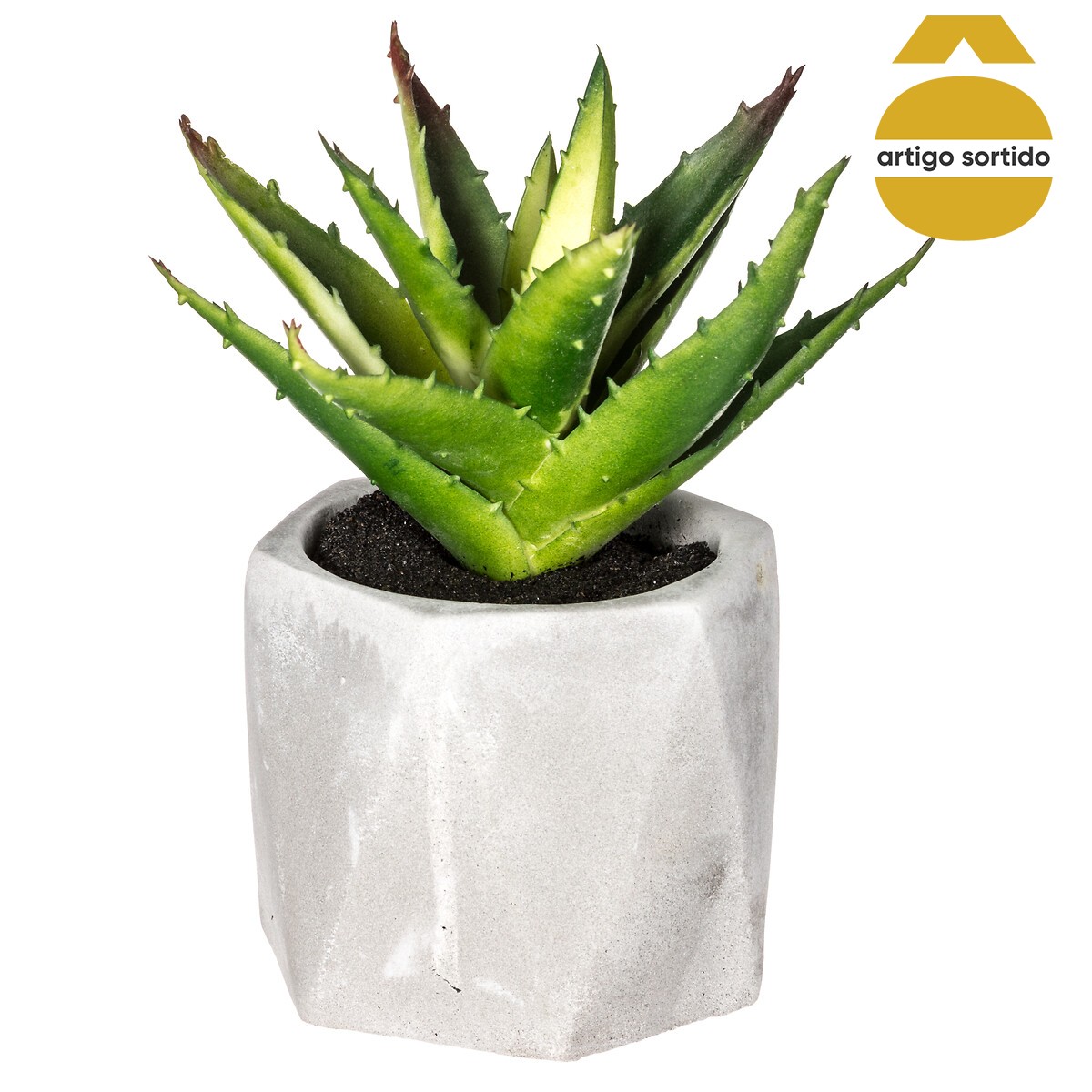 Vaso de cimento com planta 17cm