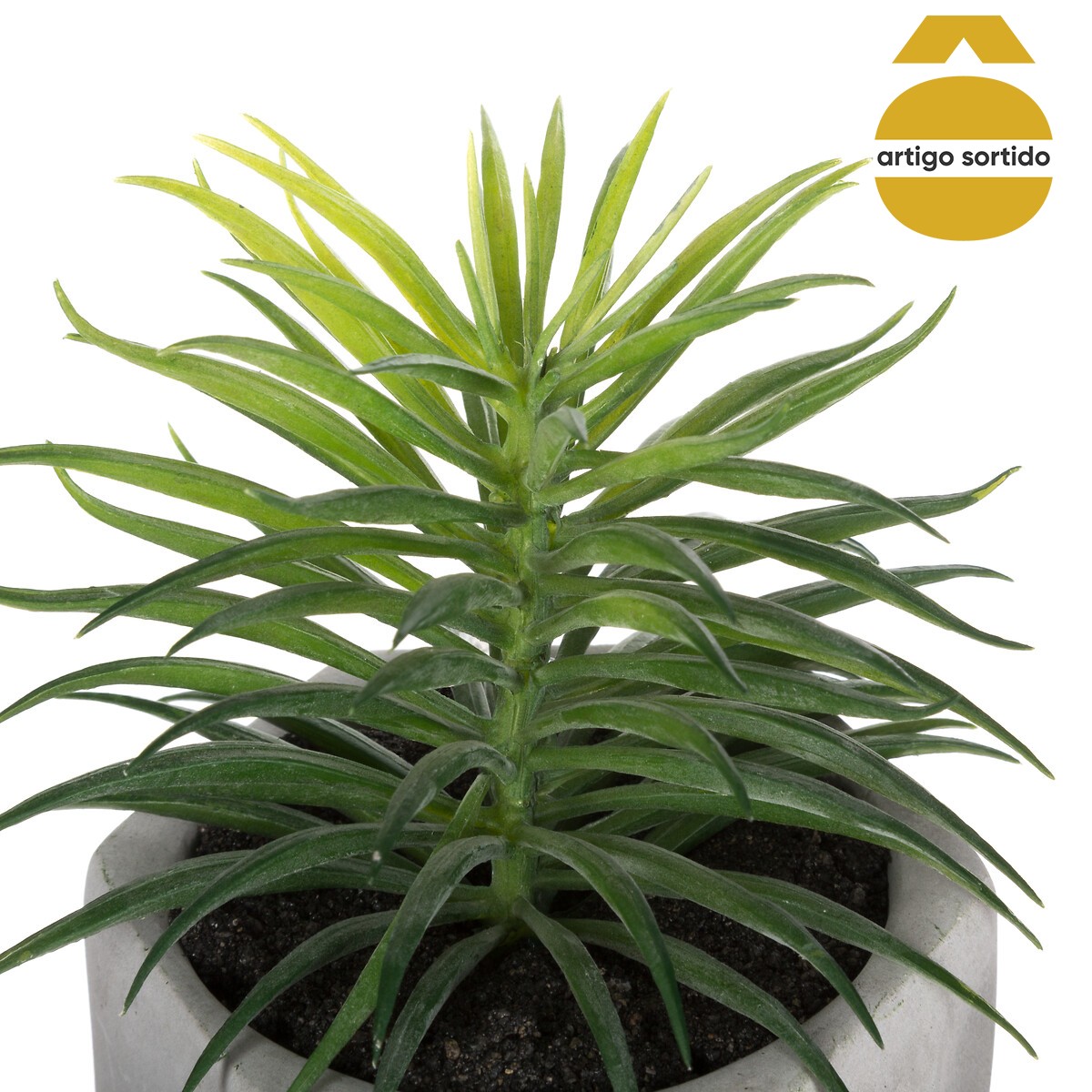 Vaso de cimento com planta 17cm