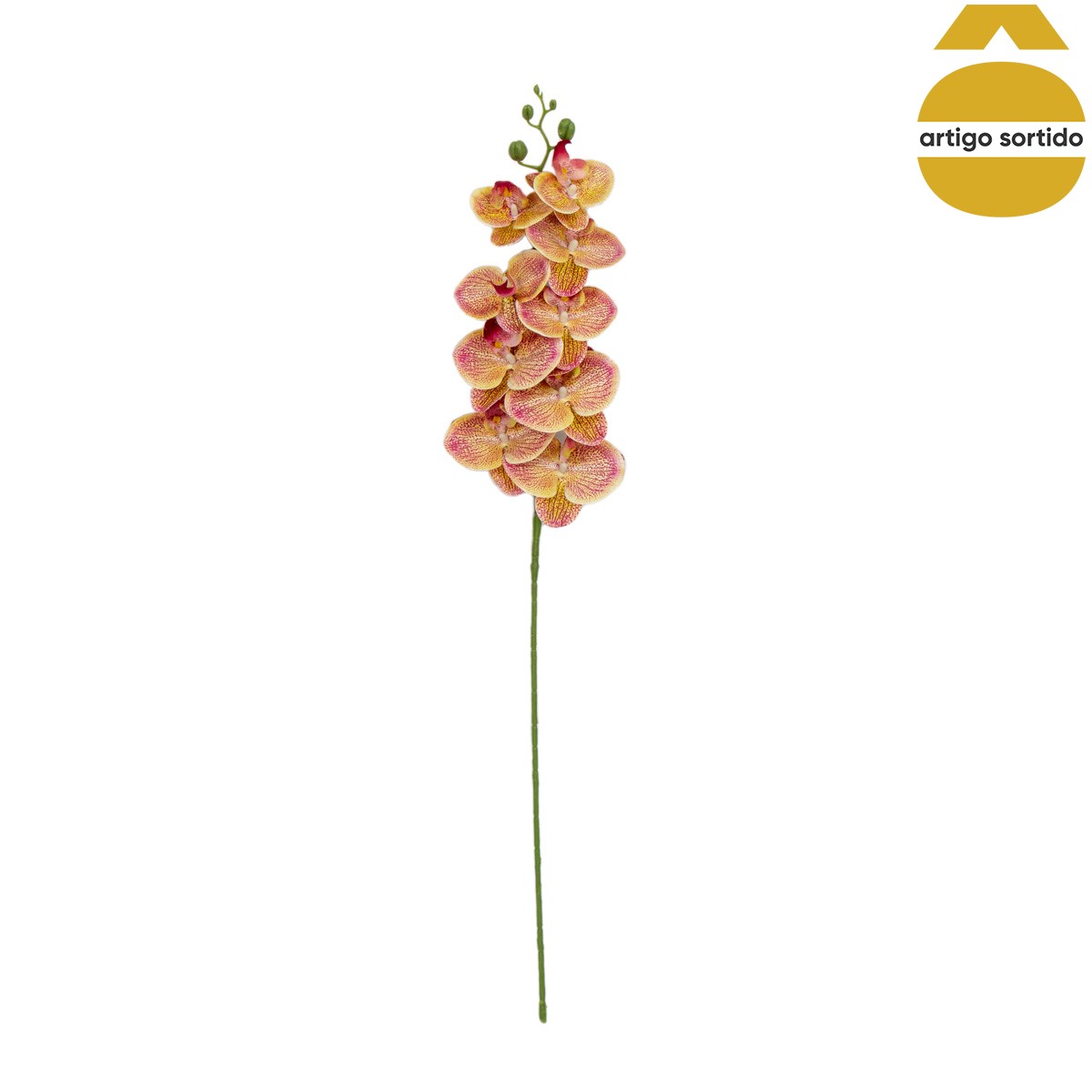 Haste de orqu&iacute;dea com toque natural