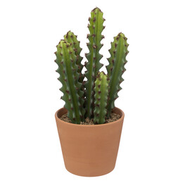 Cato Artificial Ali Com Vaso Terracota