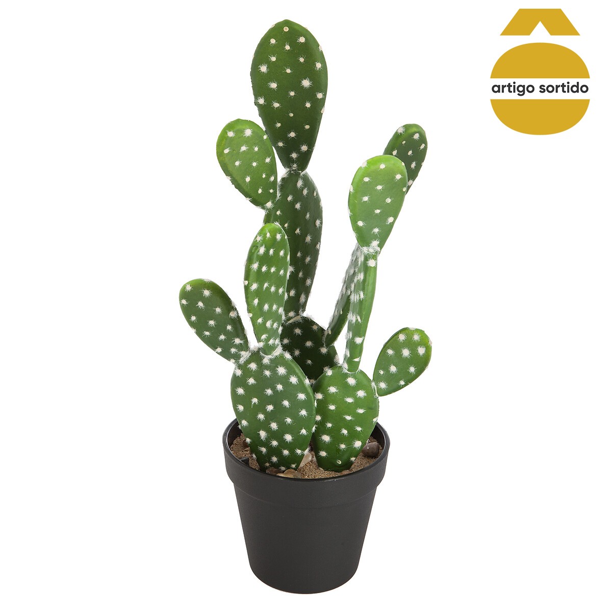 Vaso NOMADE com cato 38cm