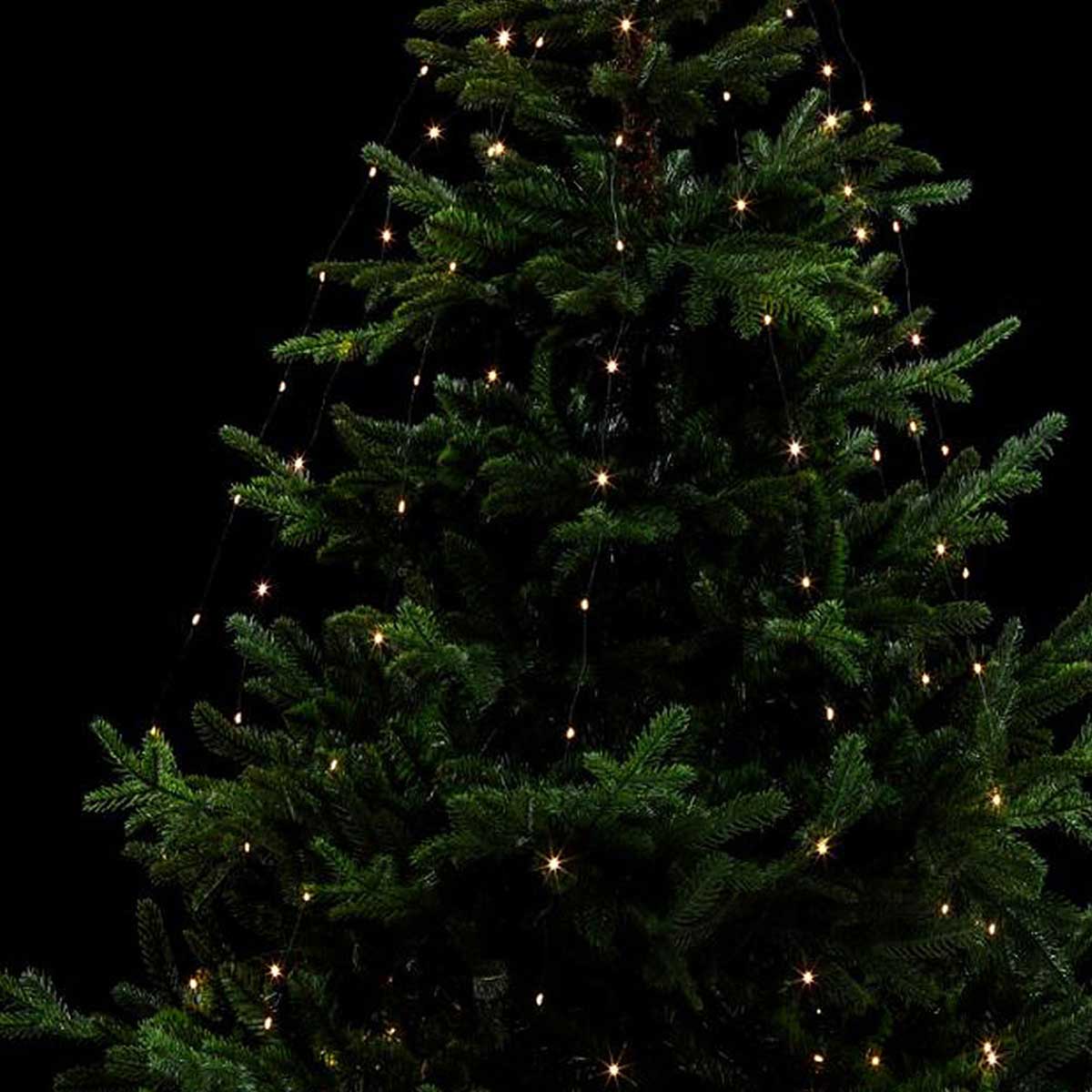 Série luminosa de natal branco quente 200 leds 1,65m