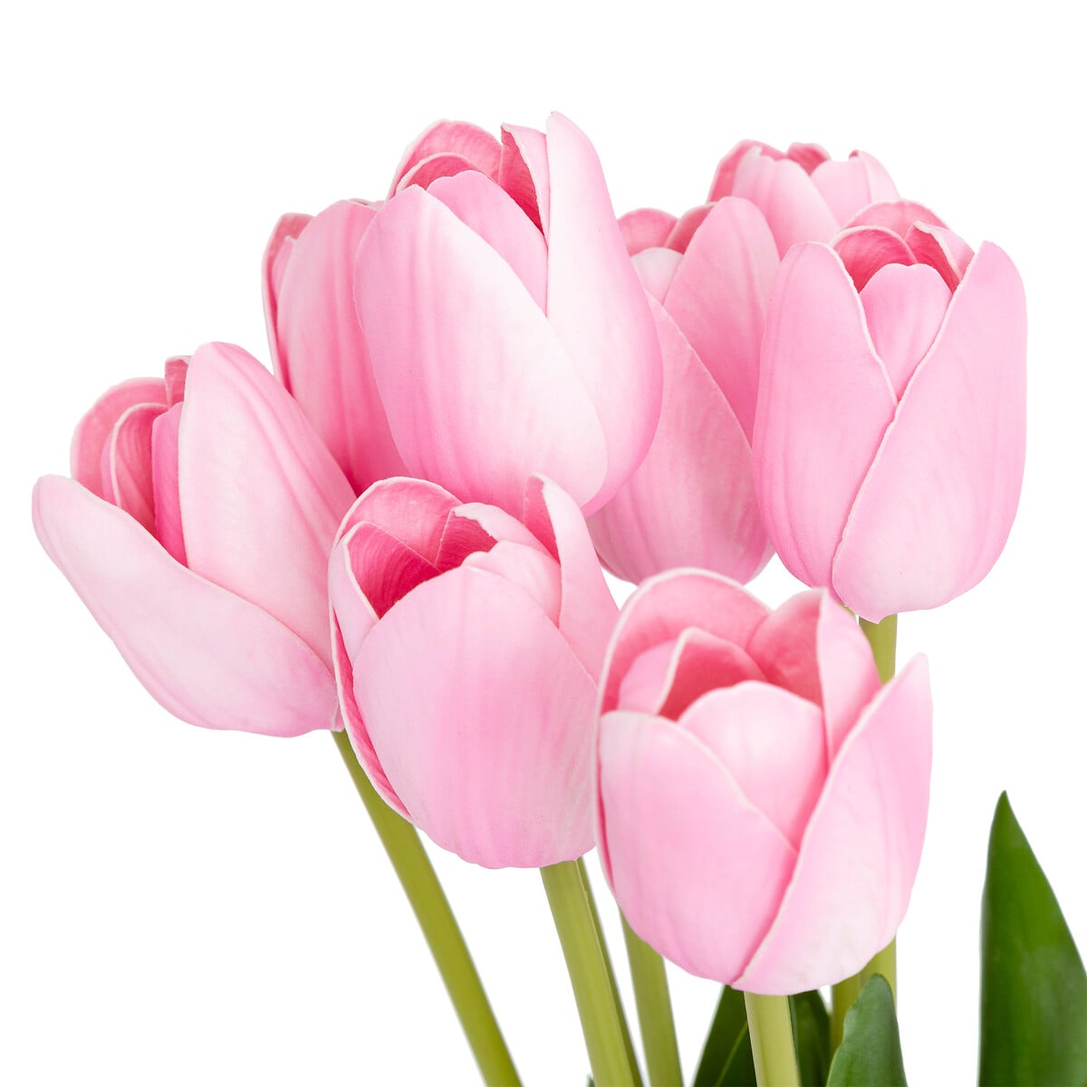 Bouquet com 10 tulipas rosa 48cm