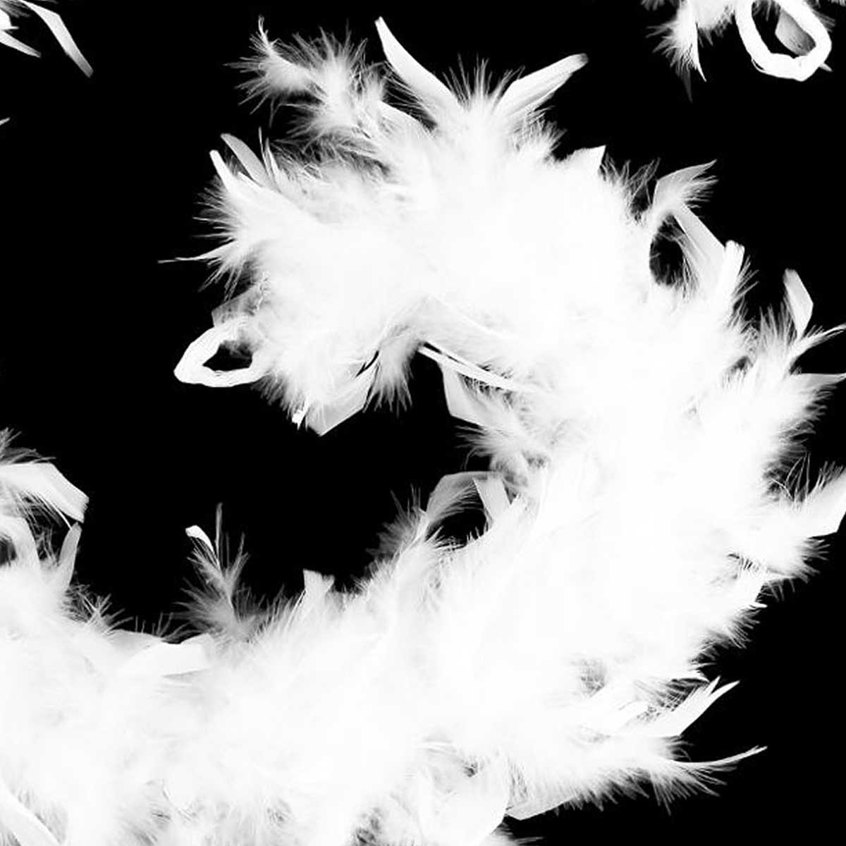 Pluma branca para decora&ccedil;&atilde;o