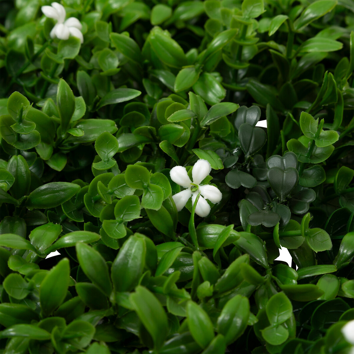 Jardim vertical CLASSIQUE IZY 50x50cm