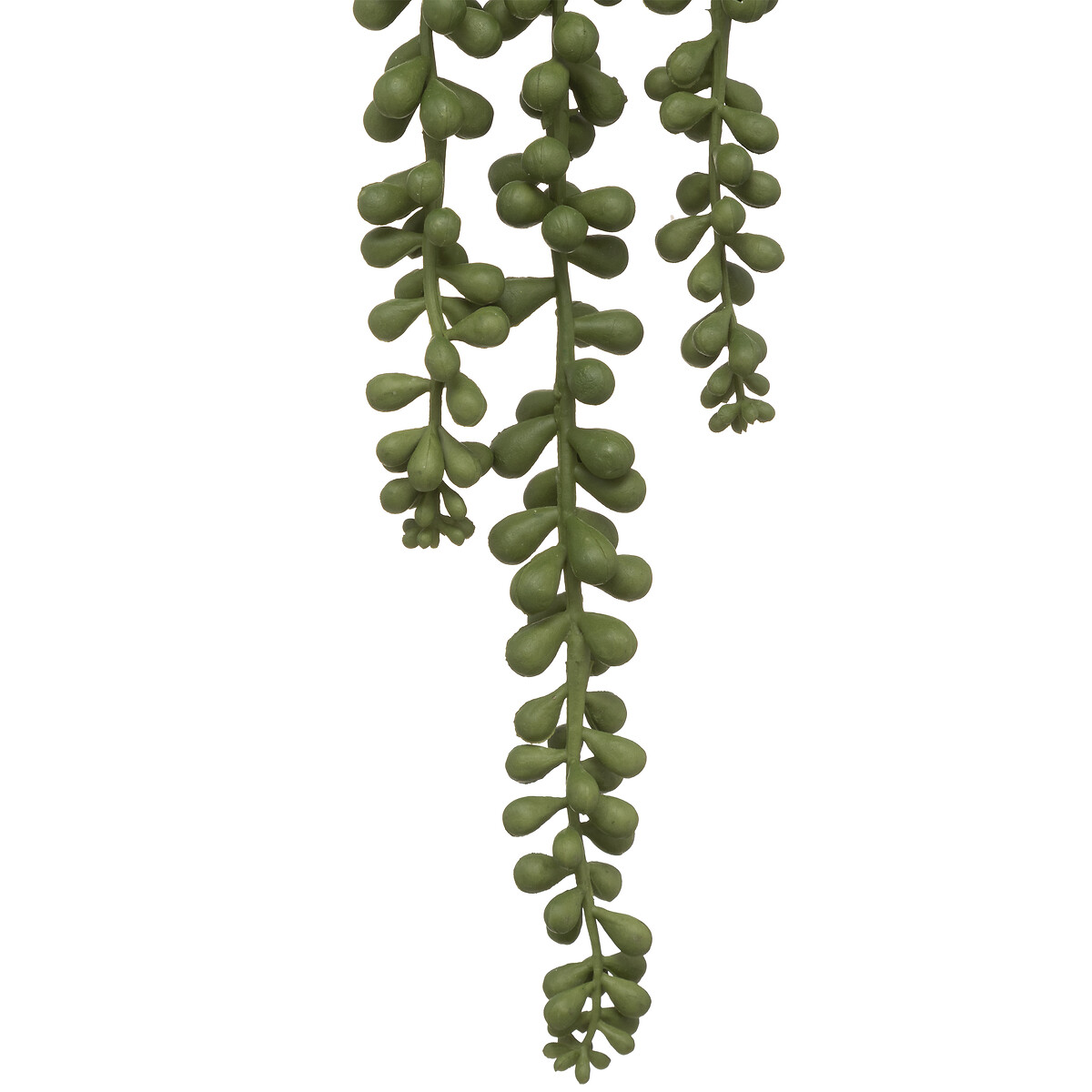 Planta suspensa com vaso de cer&acirc;mica