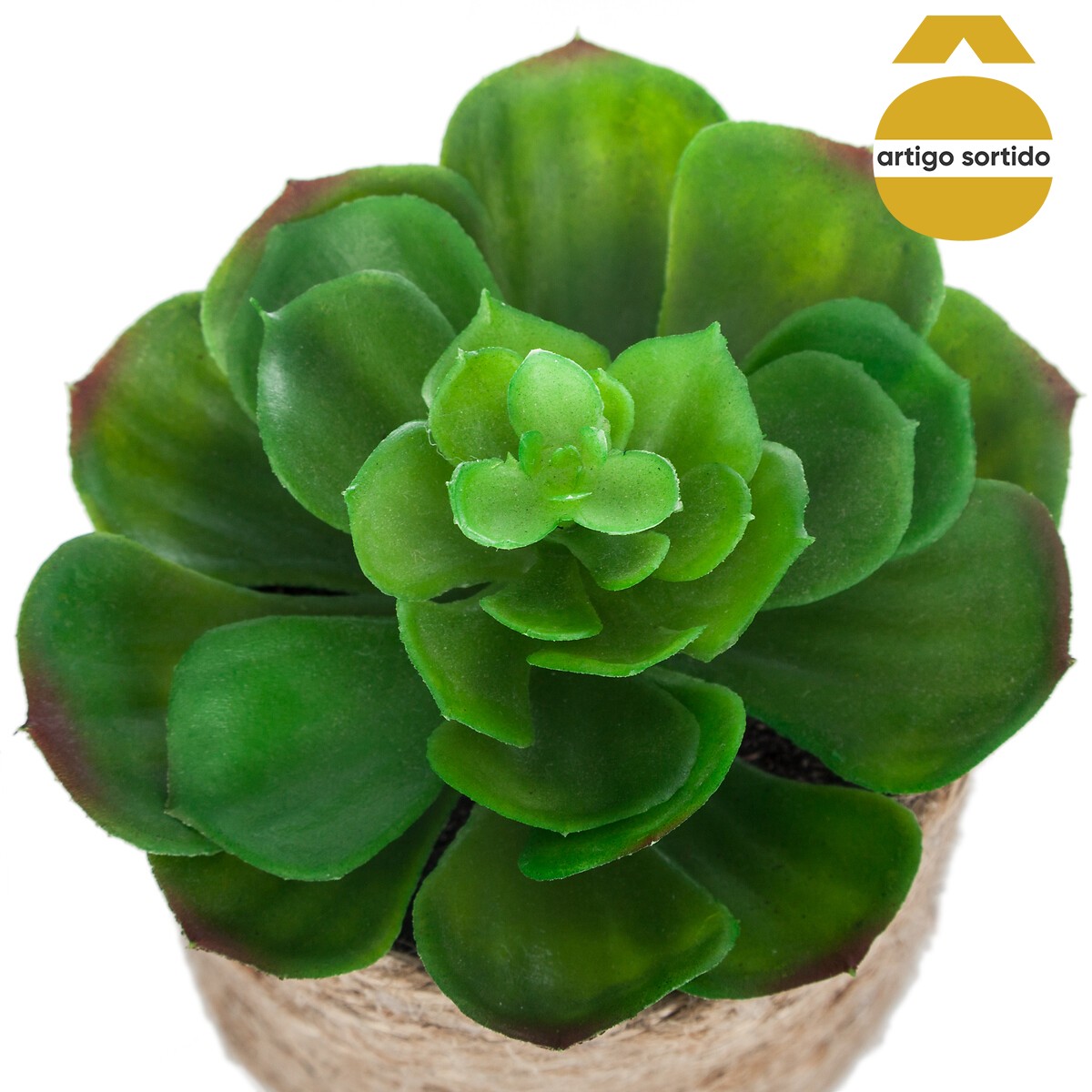 Vaso de corda com planta 15cm