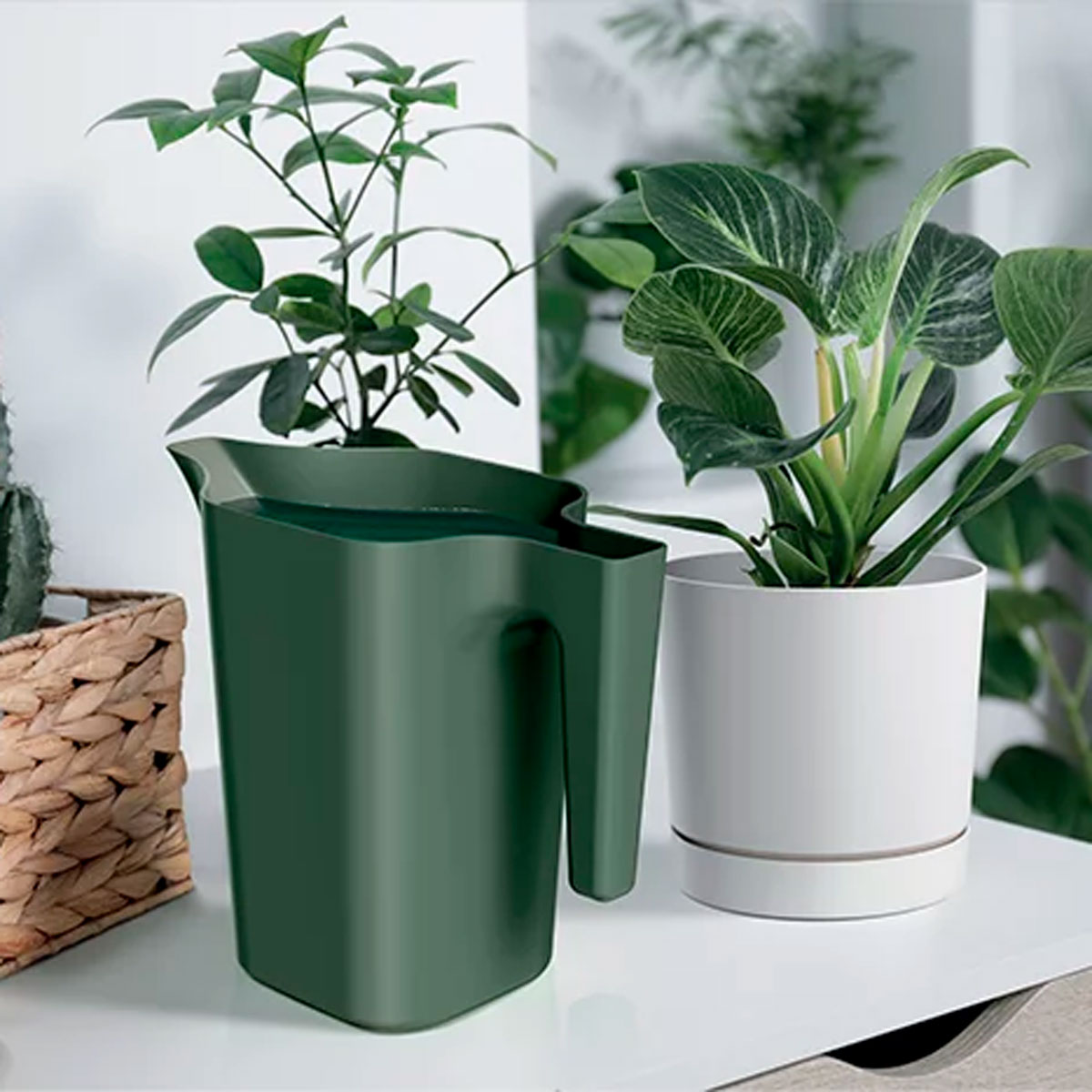 Regador Verde 20x12cm