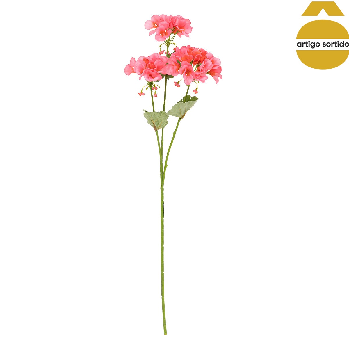 Haste pelargonium 69cm