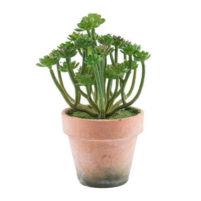 Vaso Em Barro Com Cacto Senecio Artificial