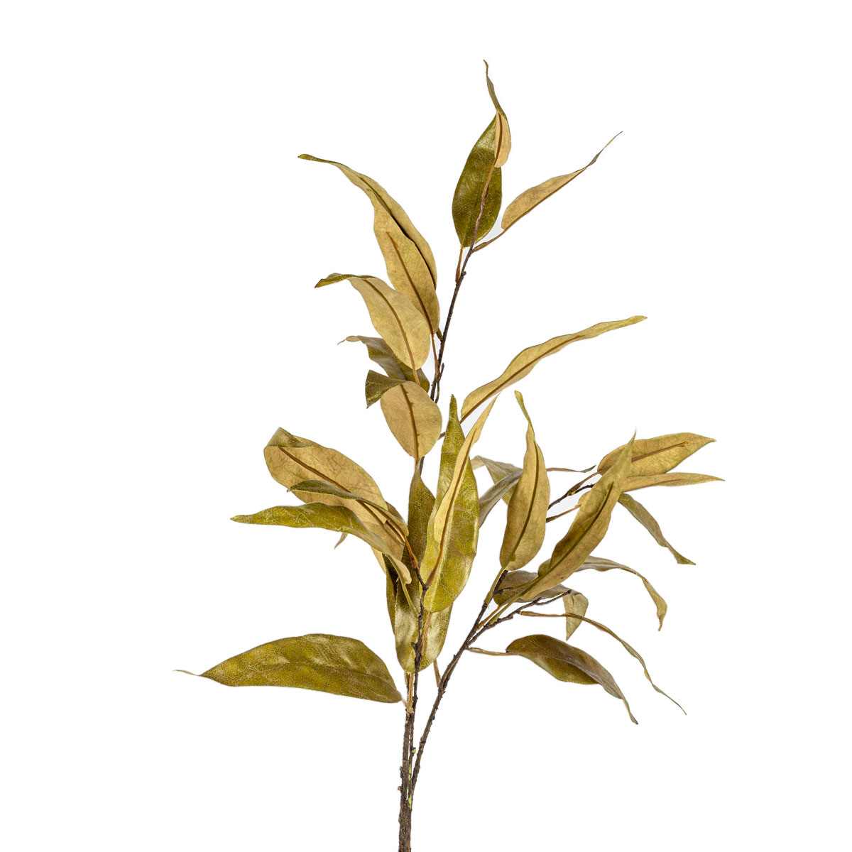 Haste de eucalipto verde 120cm
