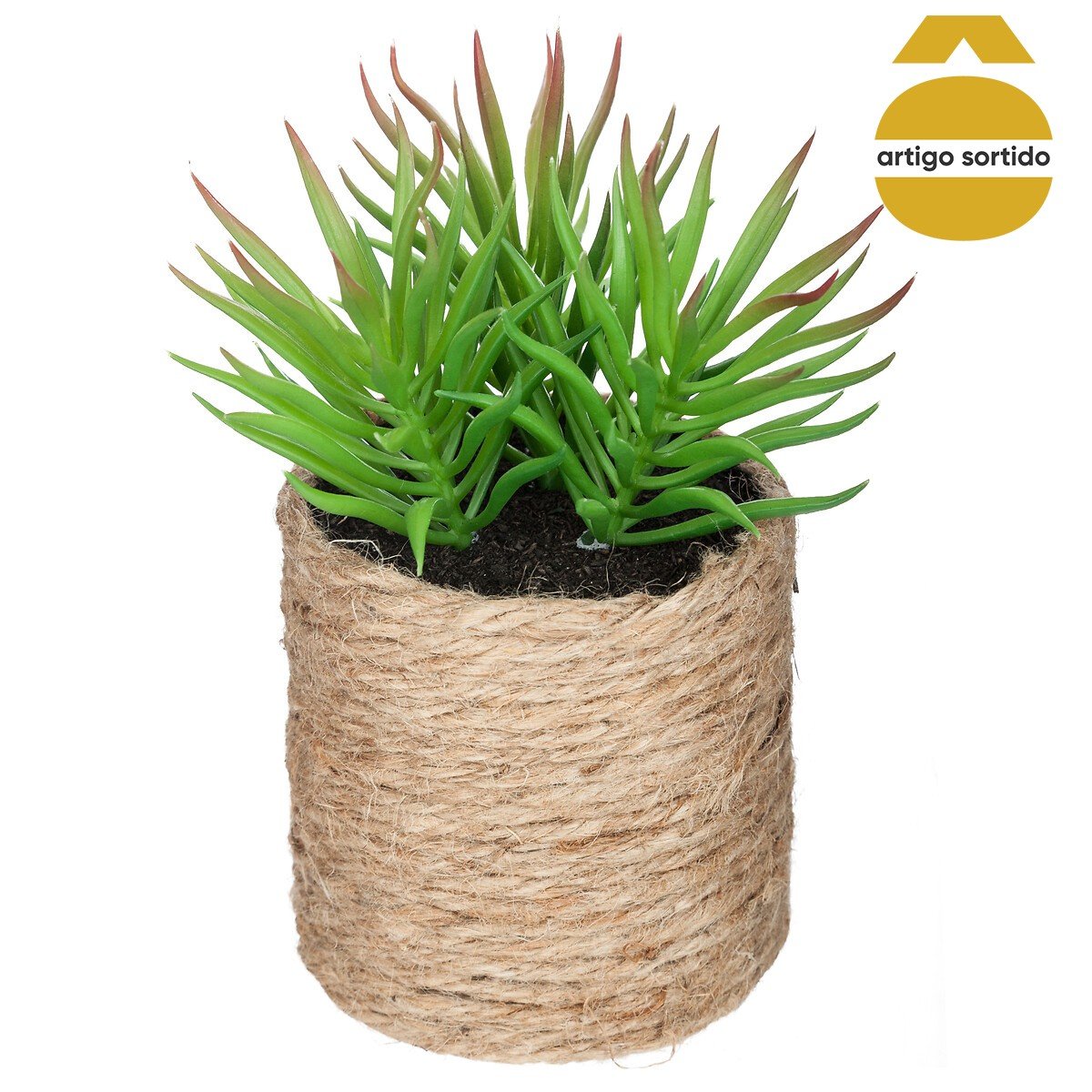 Vaso de corda com planta 15cm