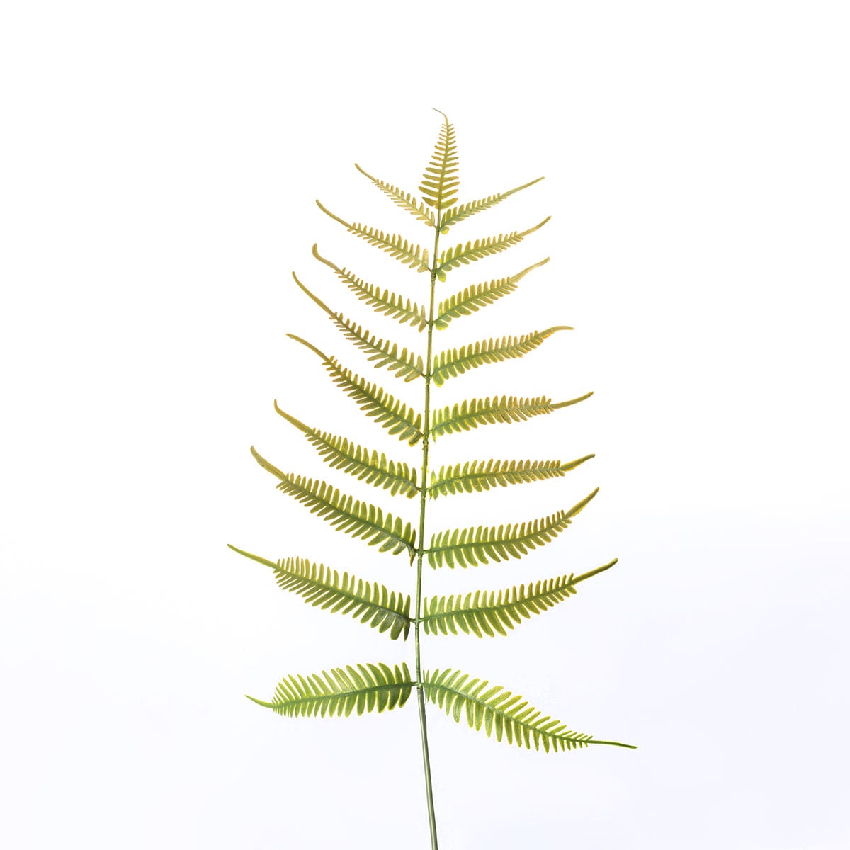 Haste de feto verde artificial 73cm