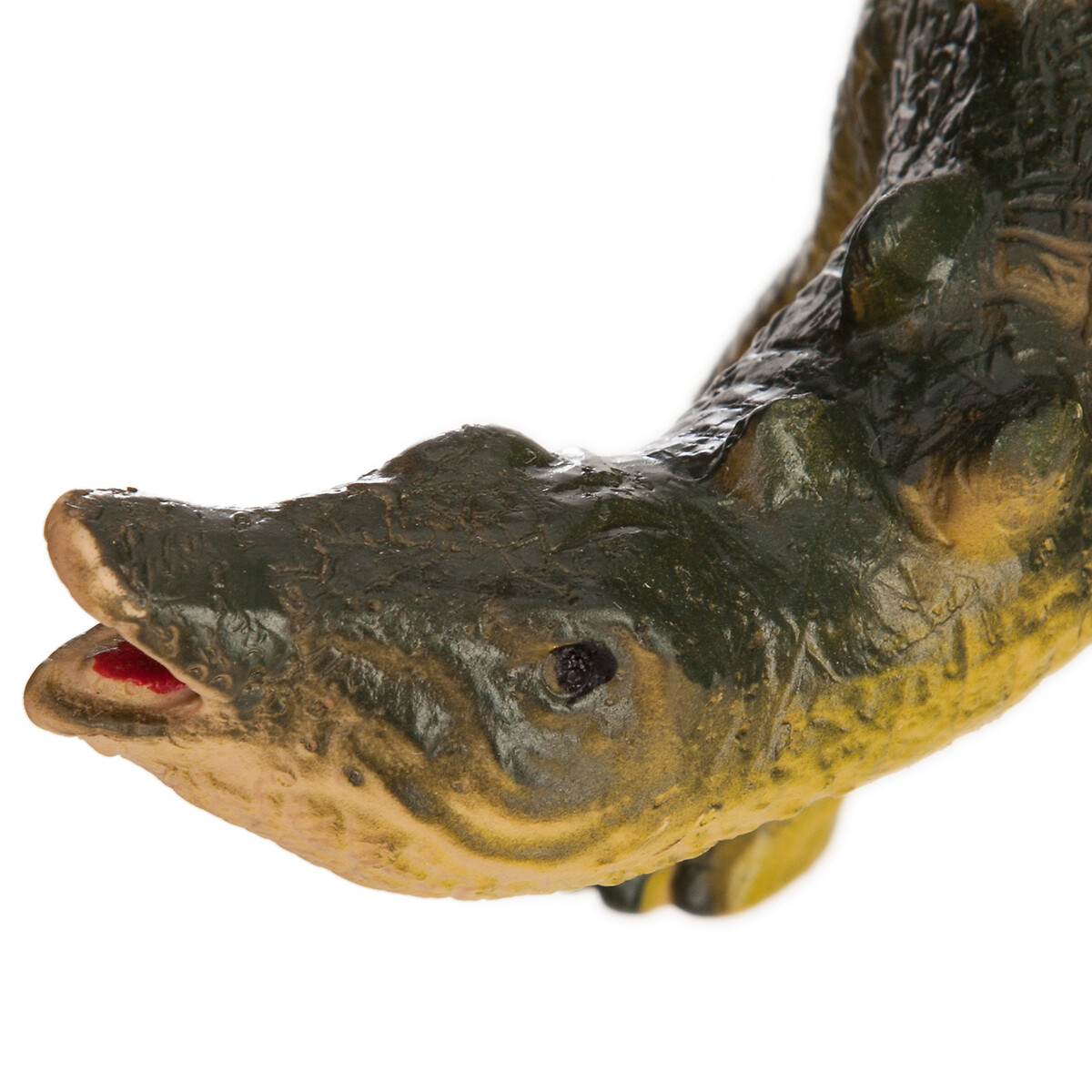 Dinossauro estegossauro