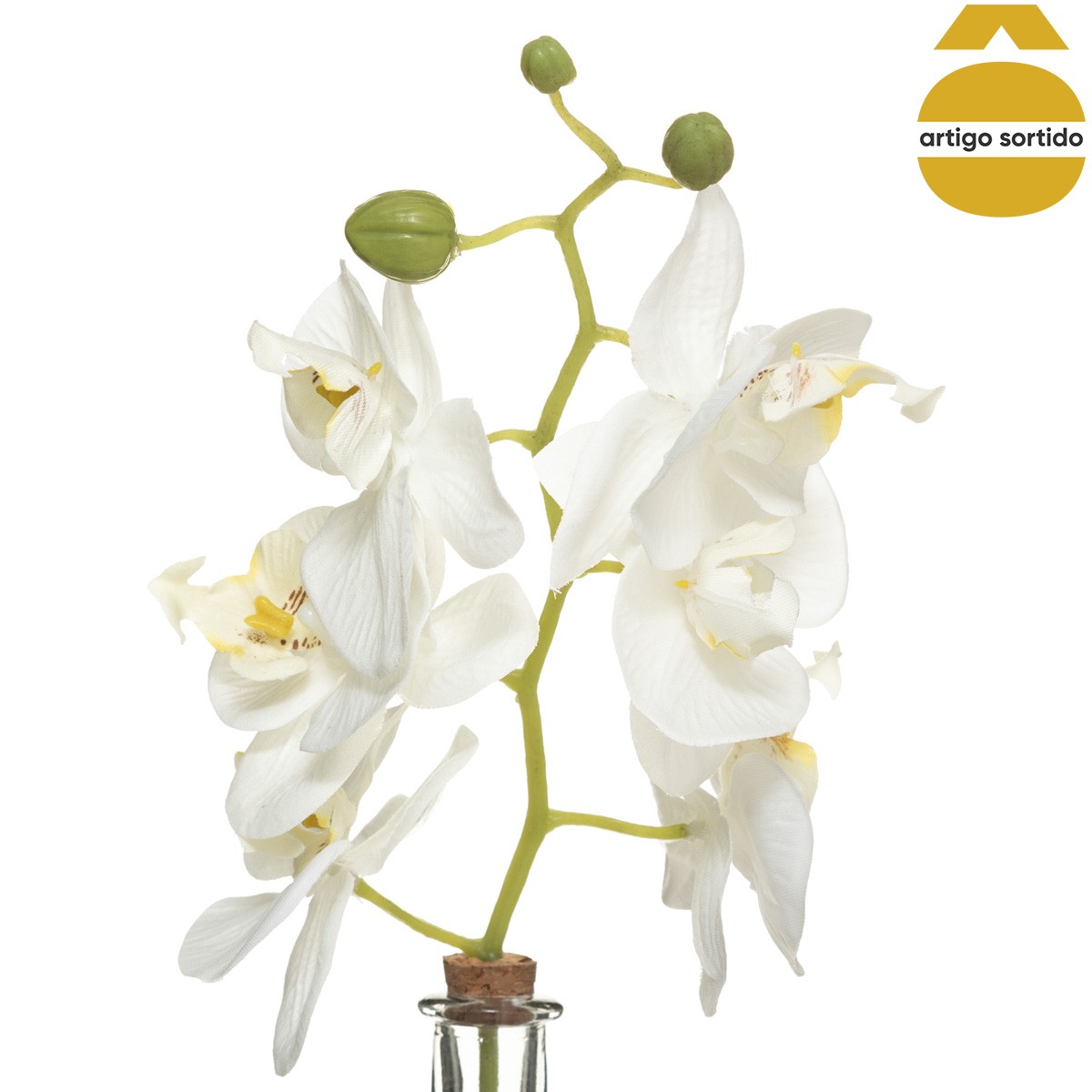 Jarra de vidro com haste orqu&iacute;dea EDI 40cm