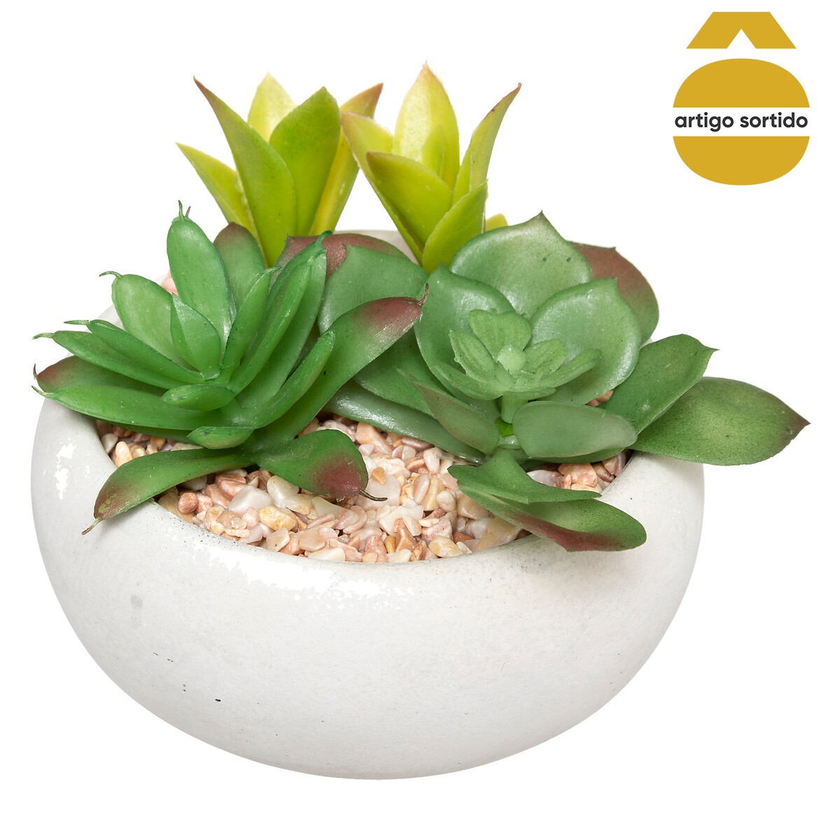 Vaso de cimento com planta 10cm