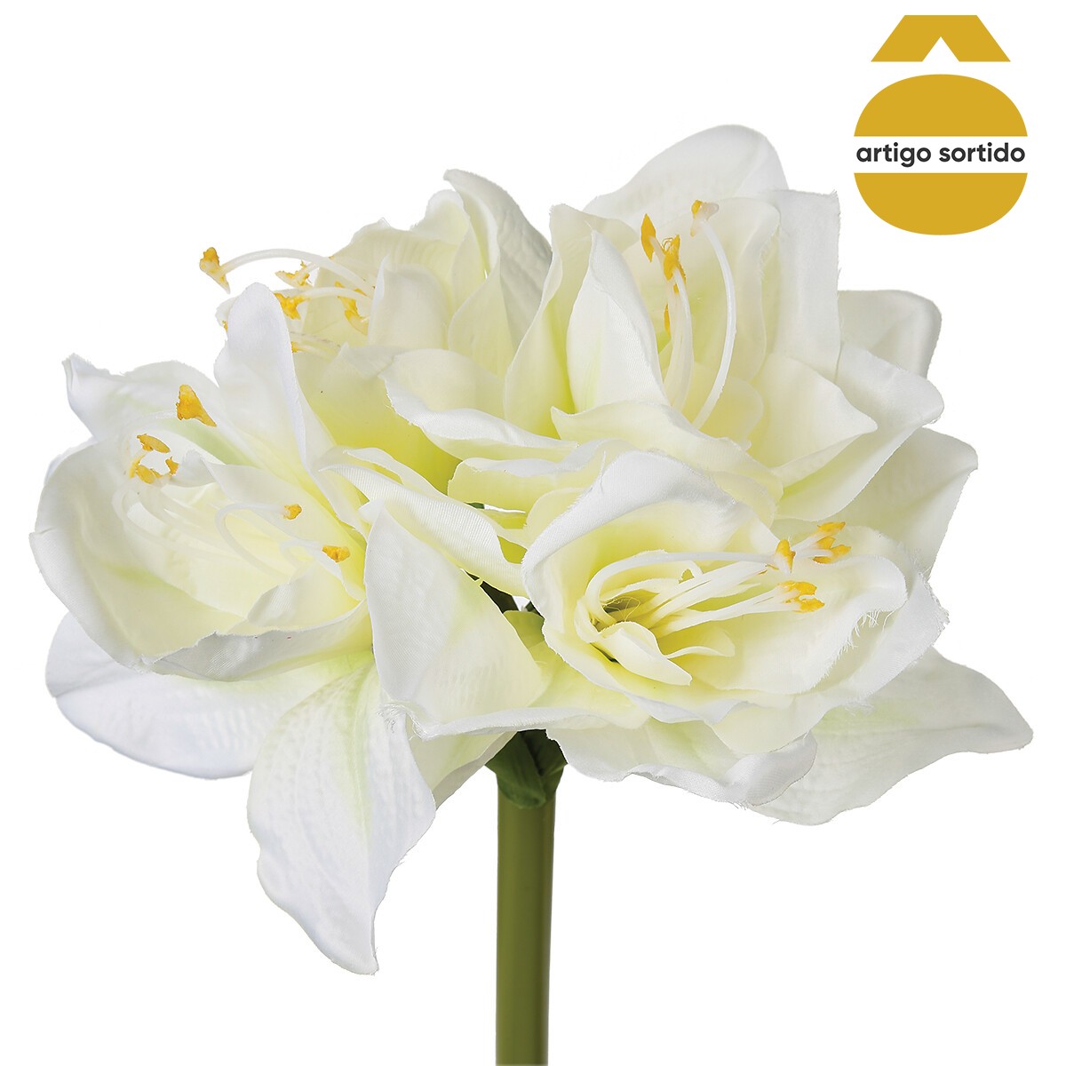 Haste amaryllis 71cm