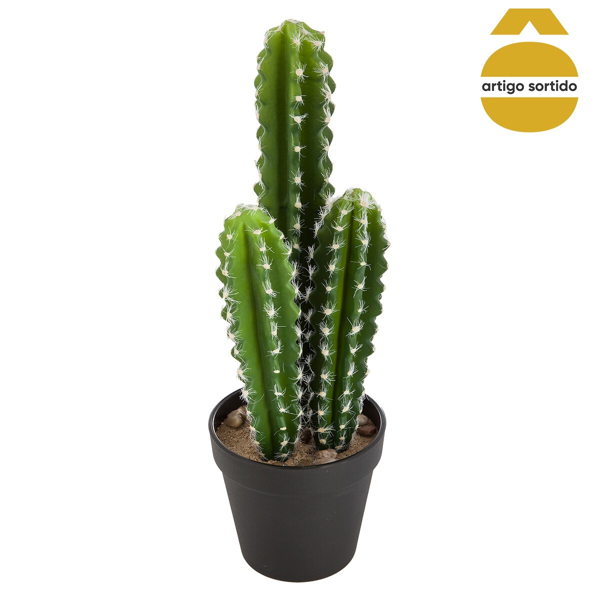 Vaso NOMADE com cato 38cm