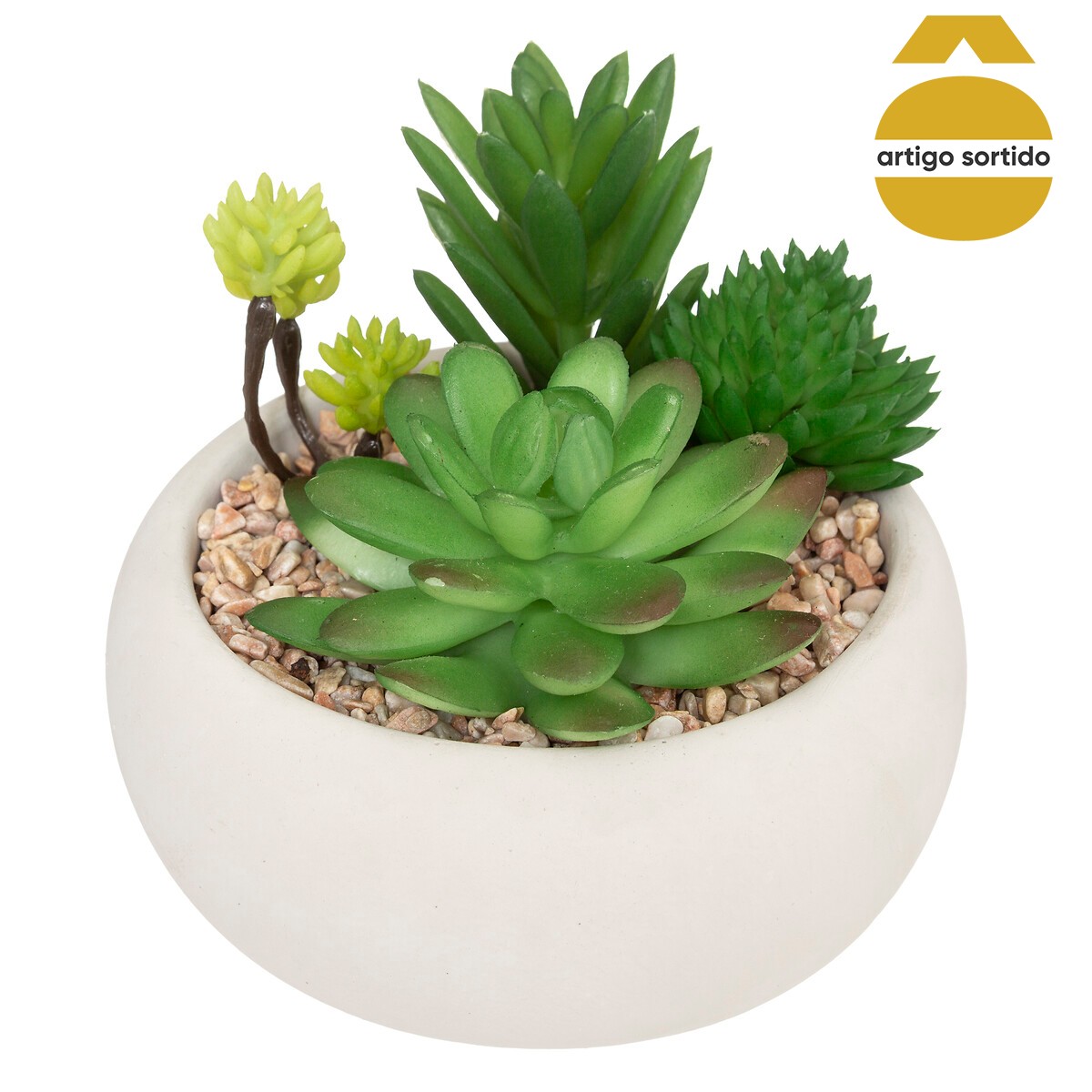 Vaso de cimento com planta 10cm