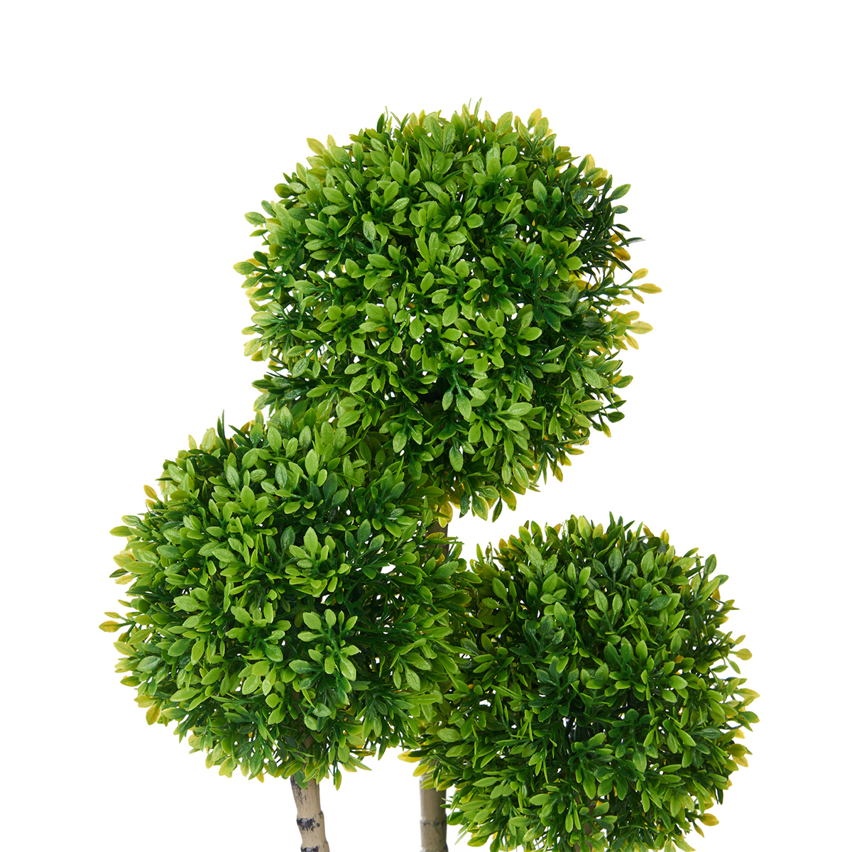 Vaso com planta de bola verde