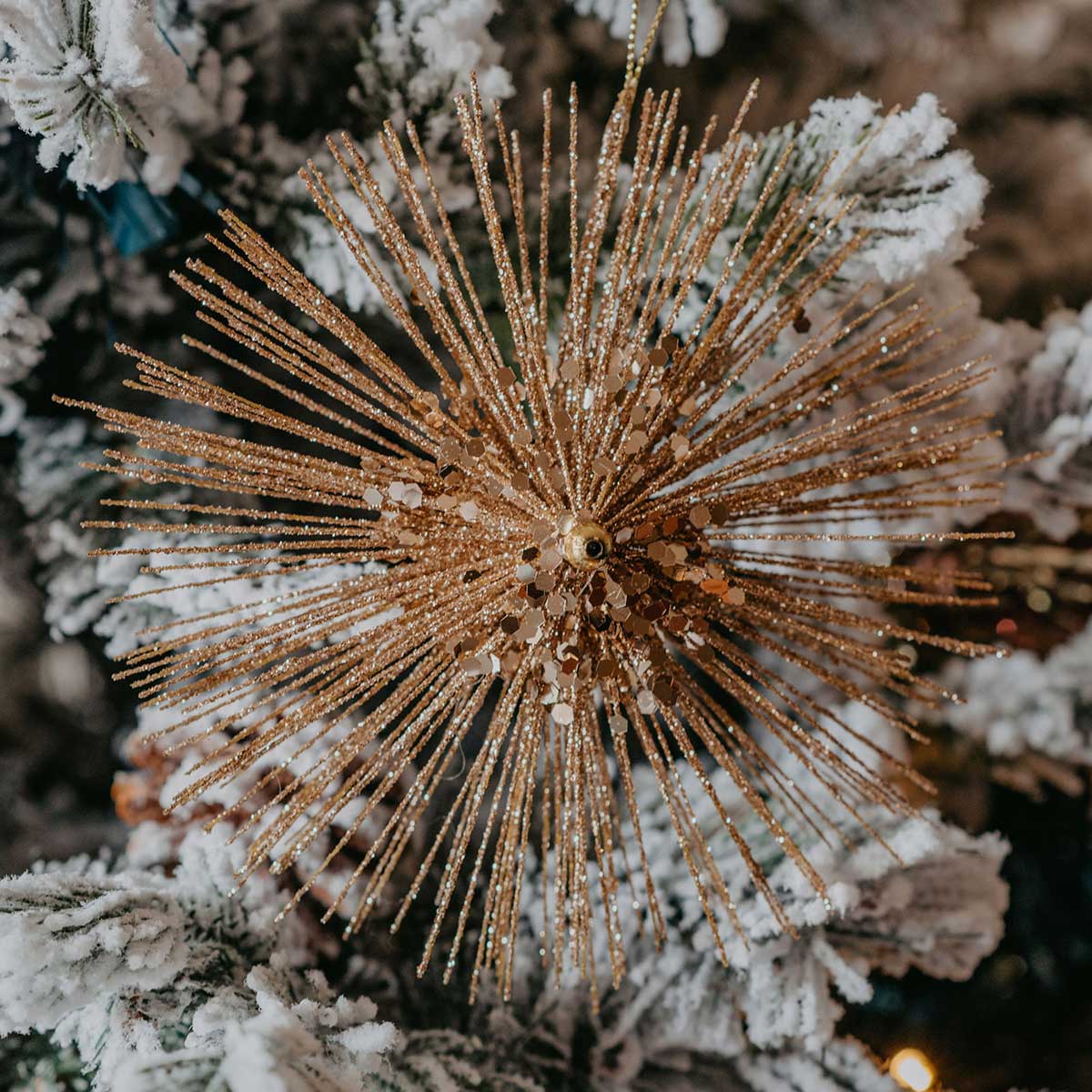 Estrela dourada brilhante