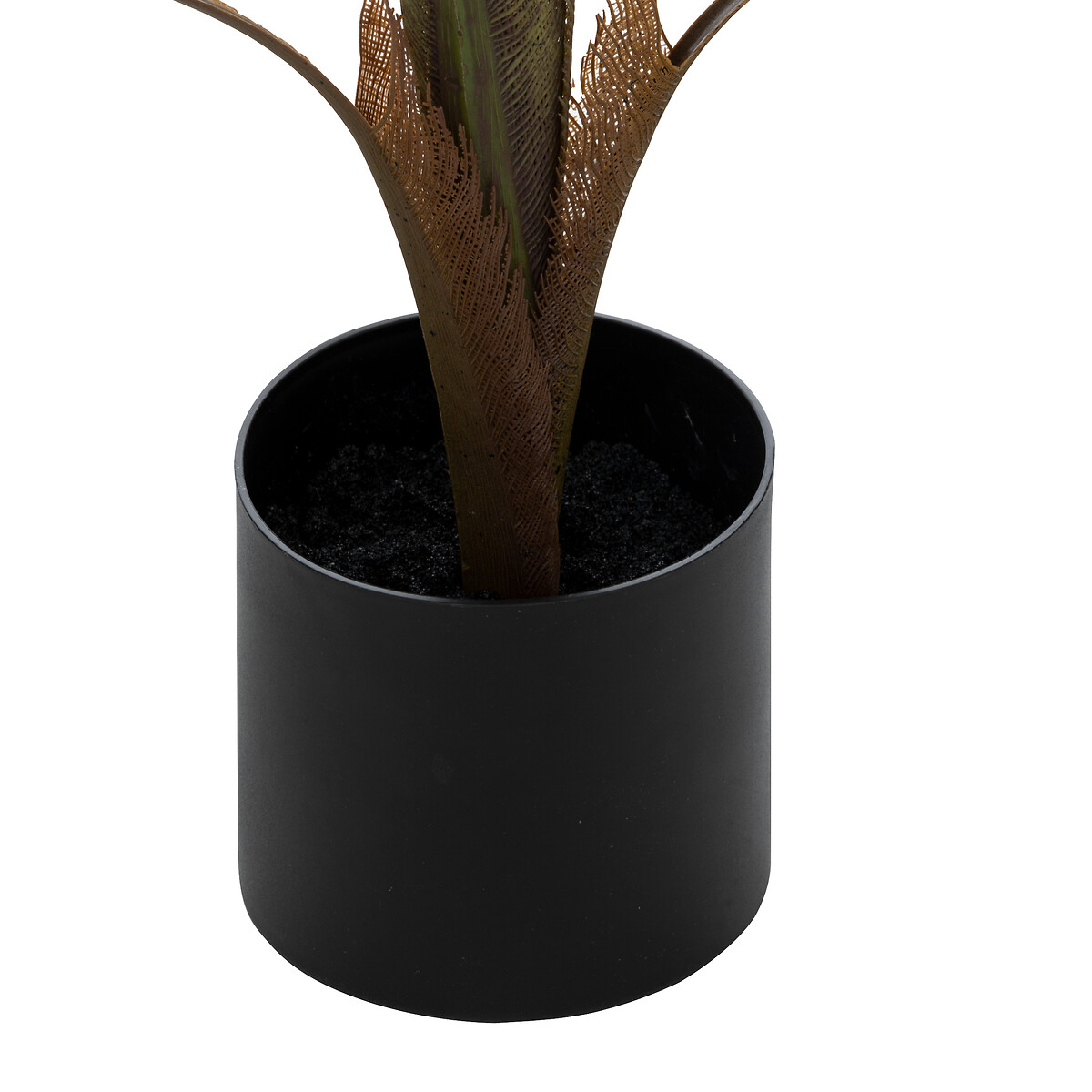 Palmeira bambu OLME verde 120cm