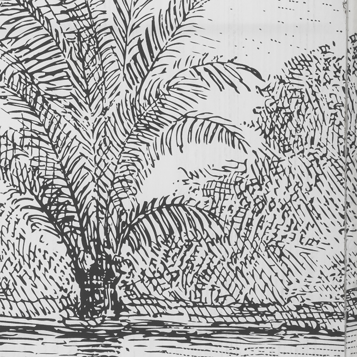 Biombo decorativo preto e branco paisagem CUBA,  Biombo decorativo preto e branco paisagem CUBA