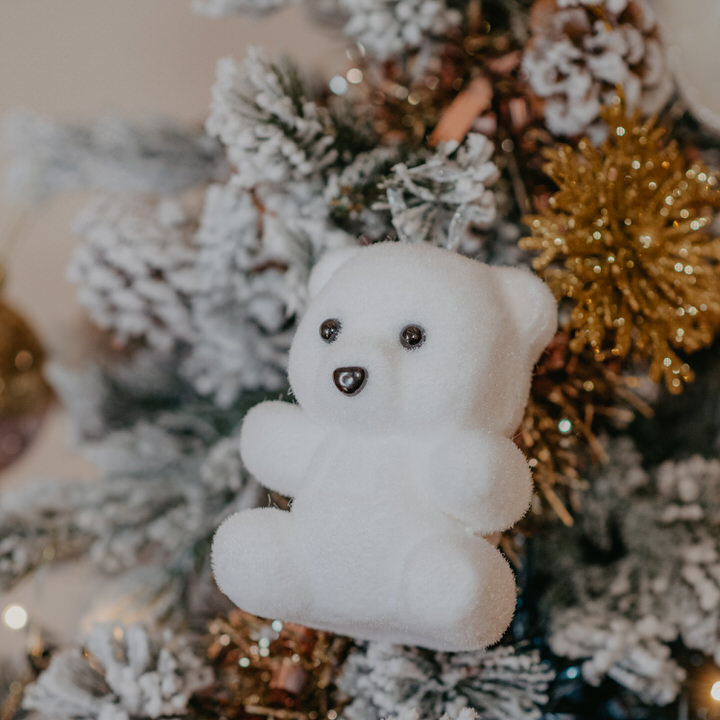 Urso branco