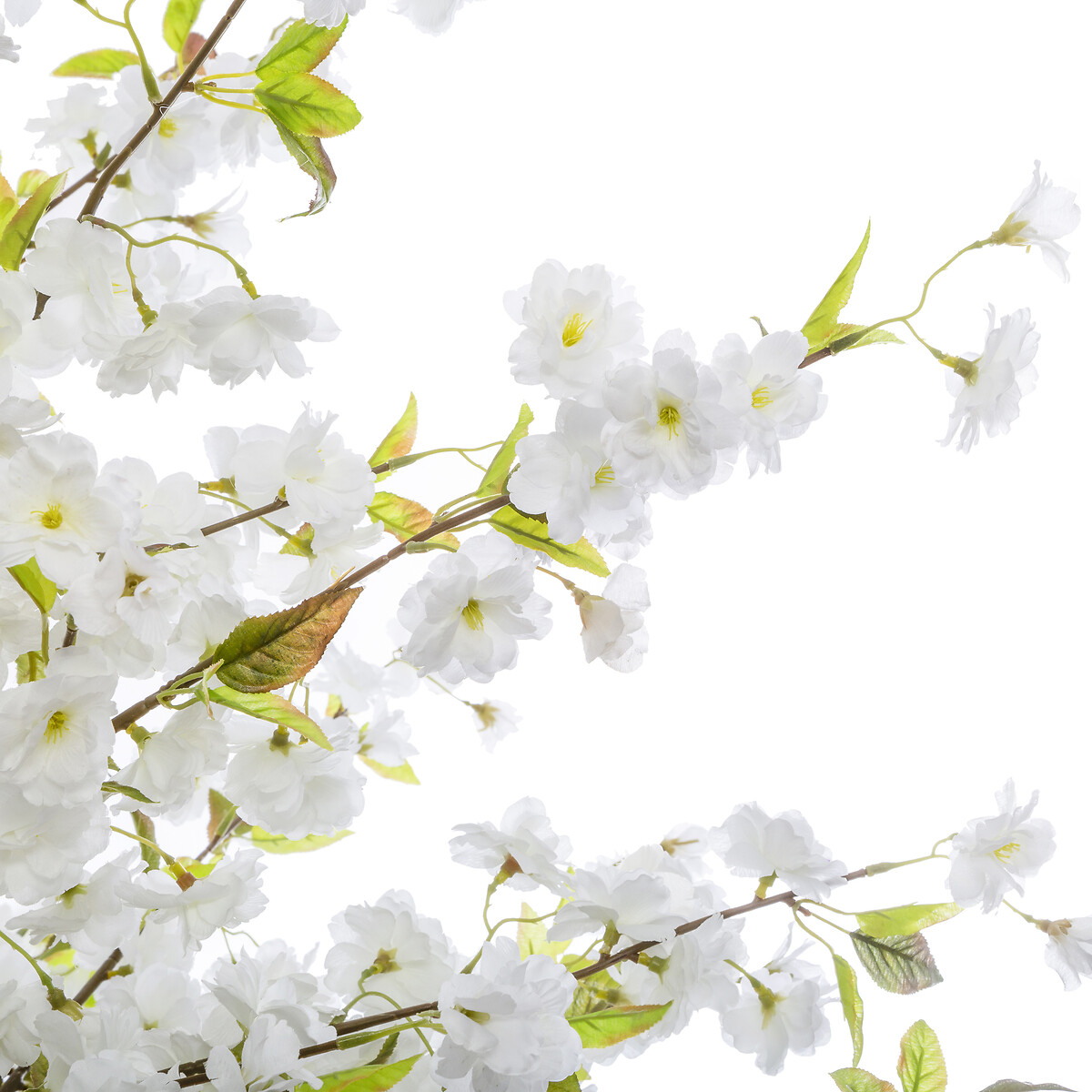 Planta cerejeira branca com vaso