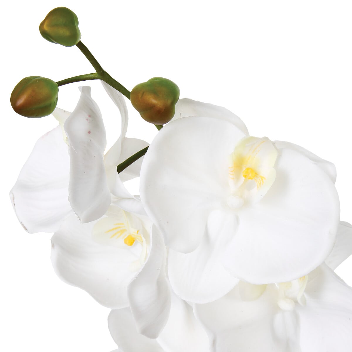 Haste orqu&iacute;dea 108cm